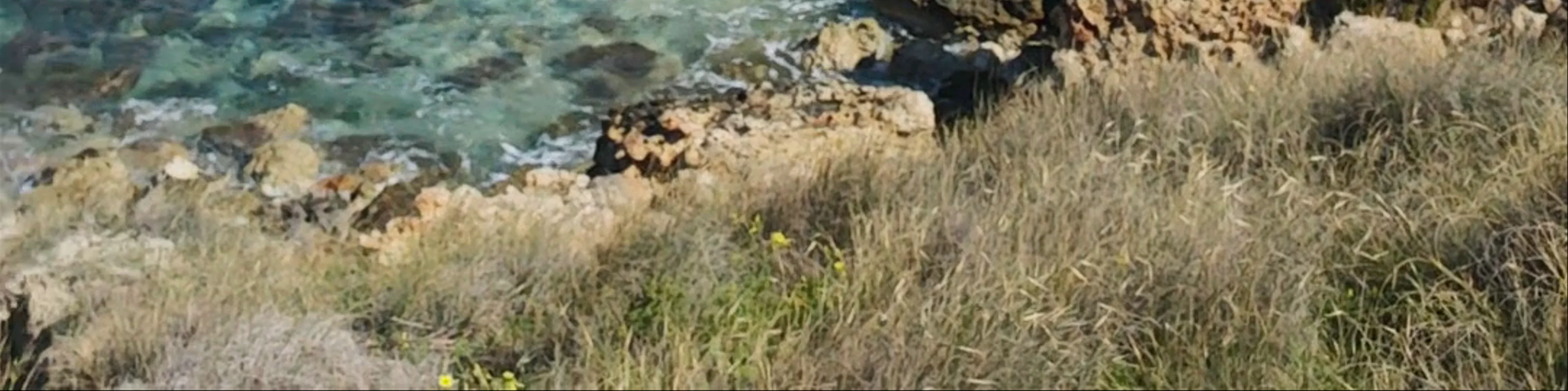 Qarraba Bay
