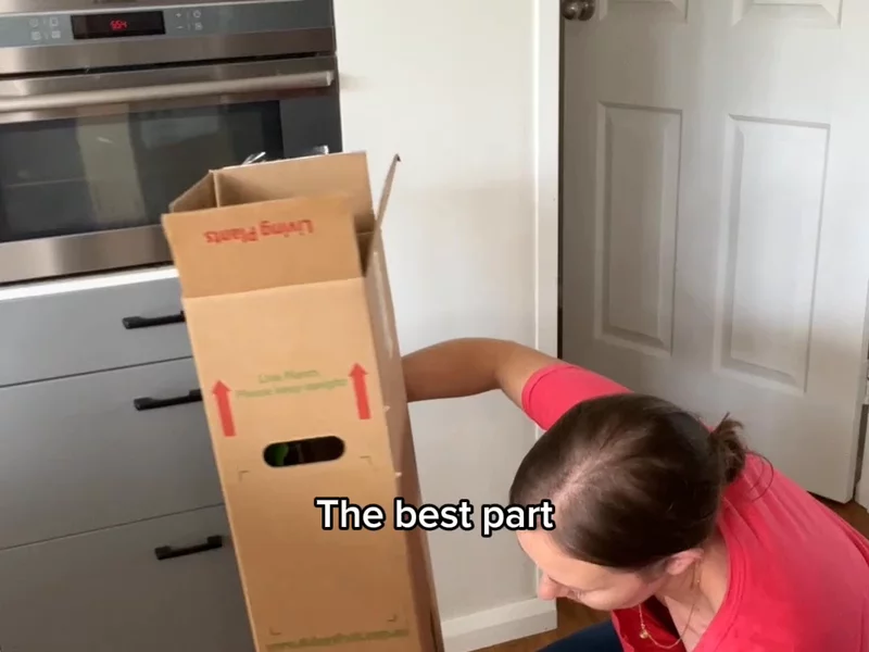 Buying A Plant Online?