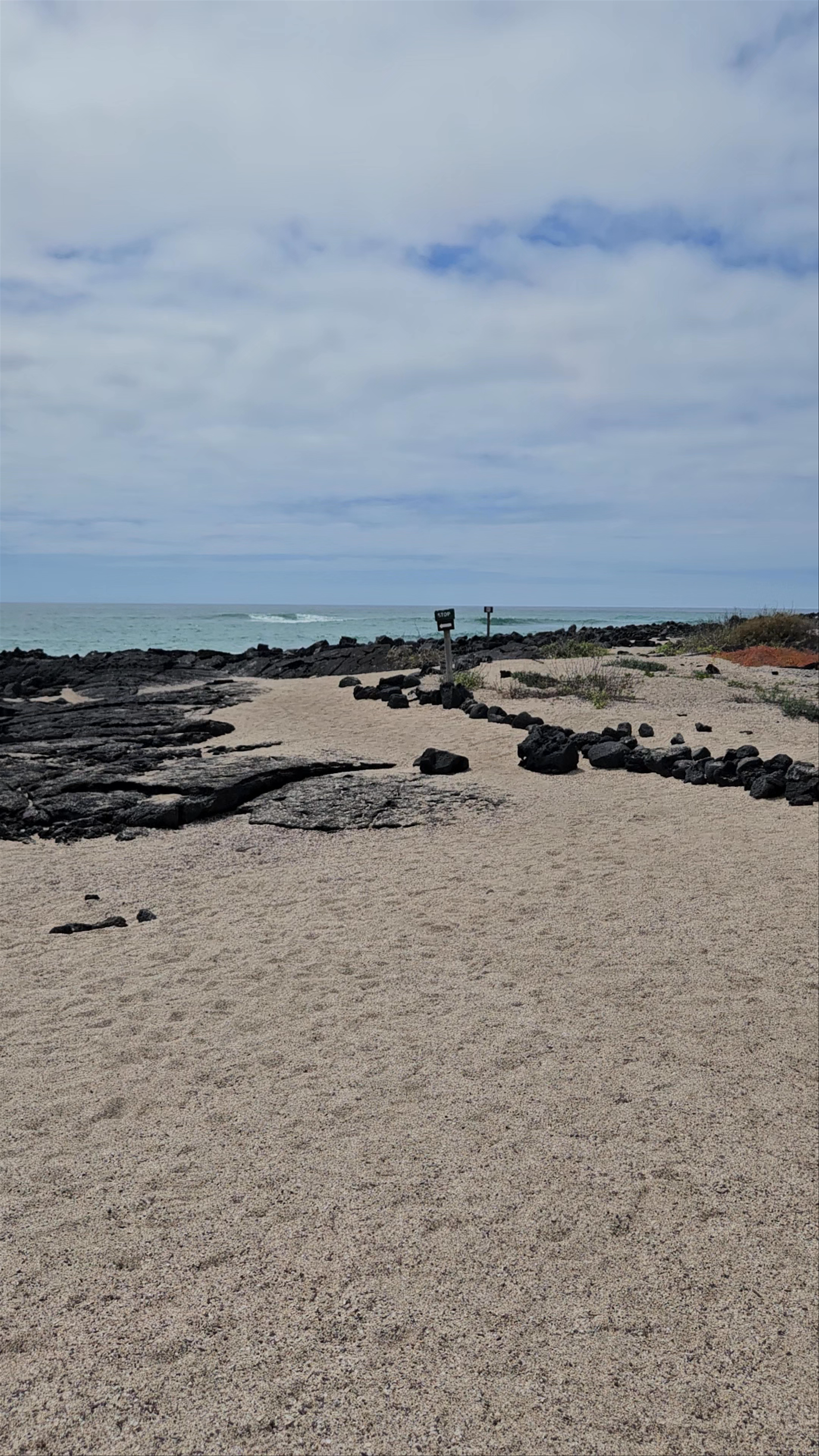Playa del Amor: Enchanting Shores of the Galápagos Islands