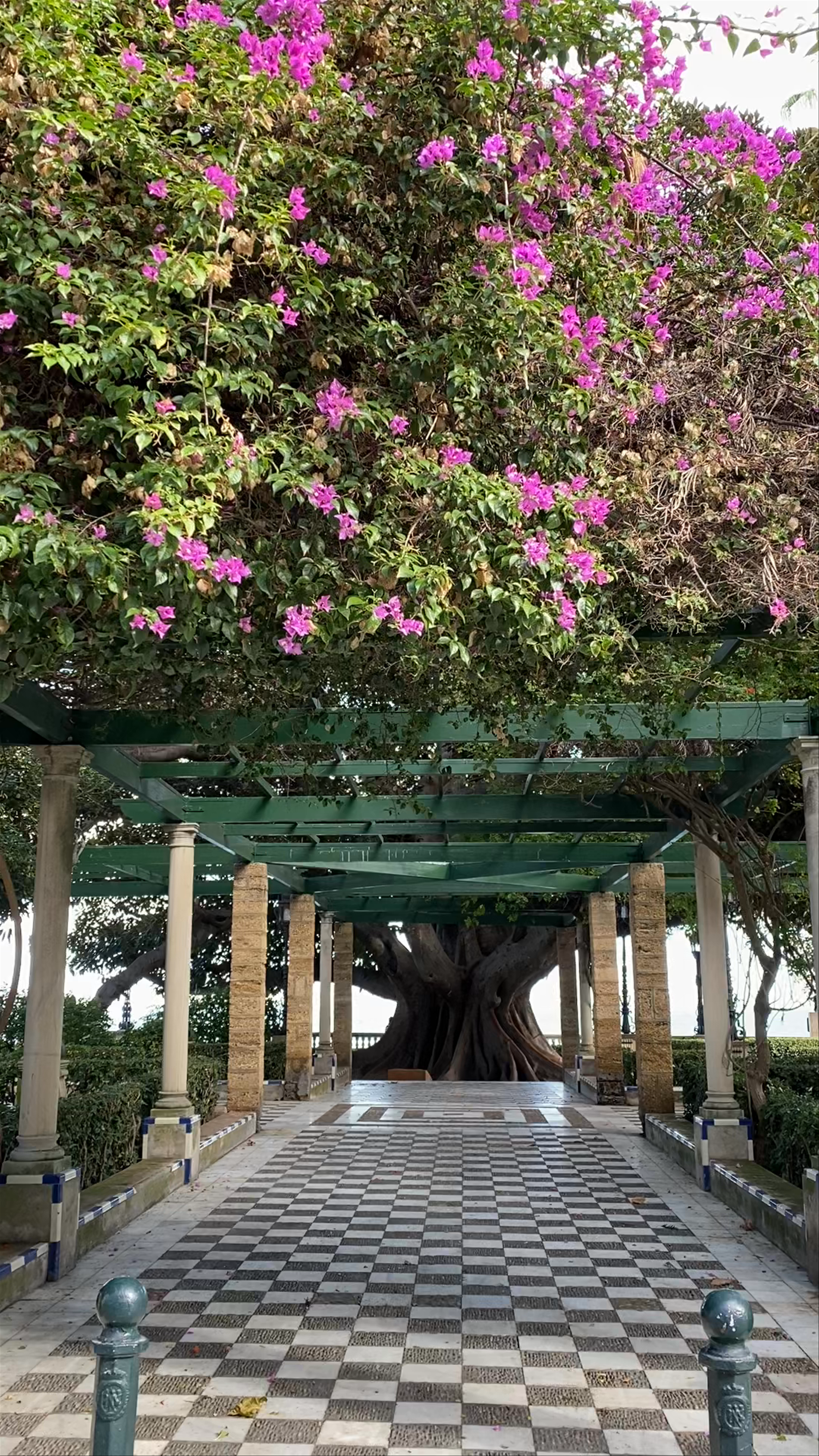 Alameda Apodaca