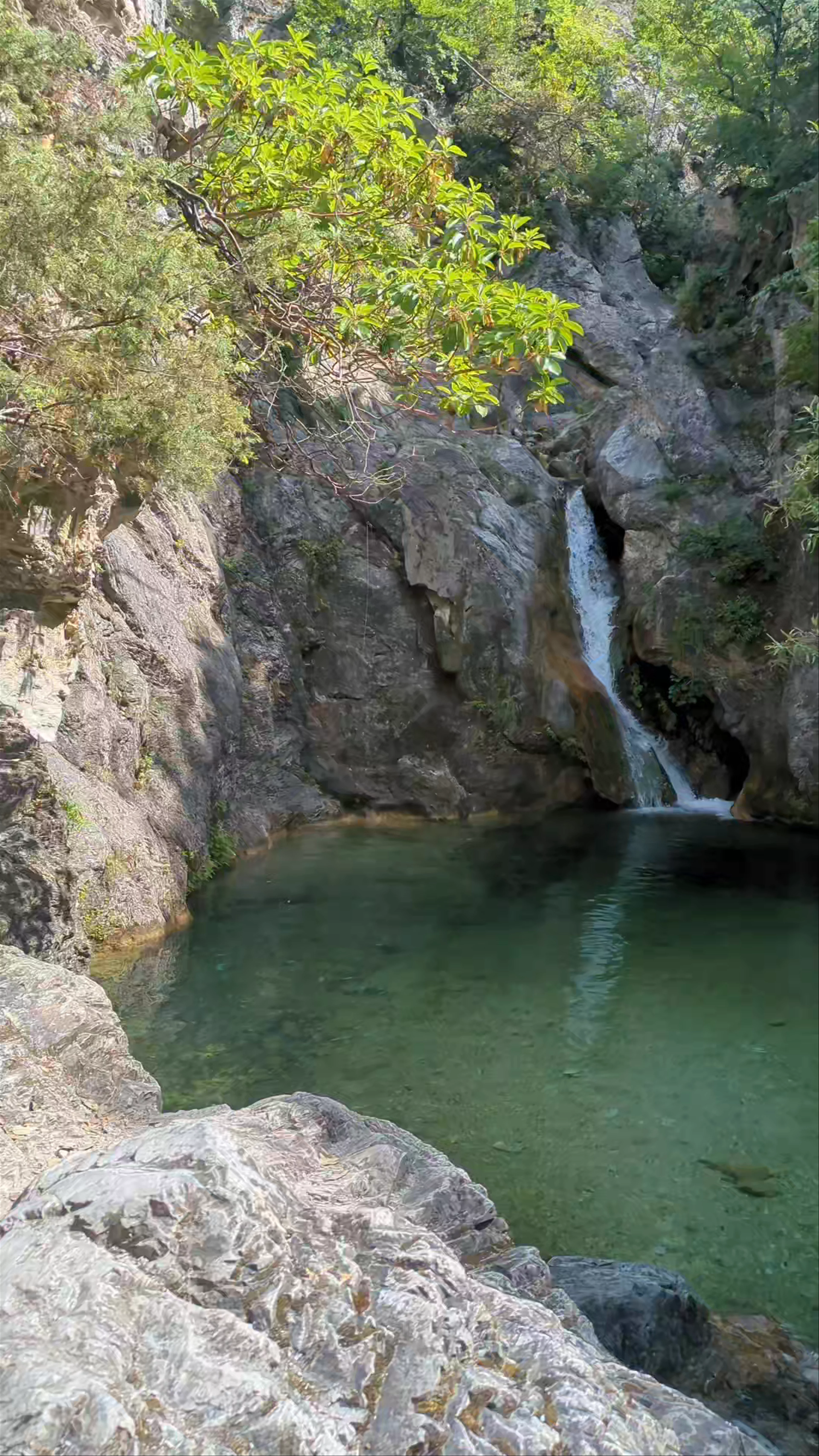 Orlias Stream
