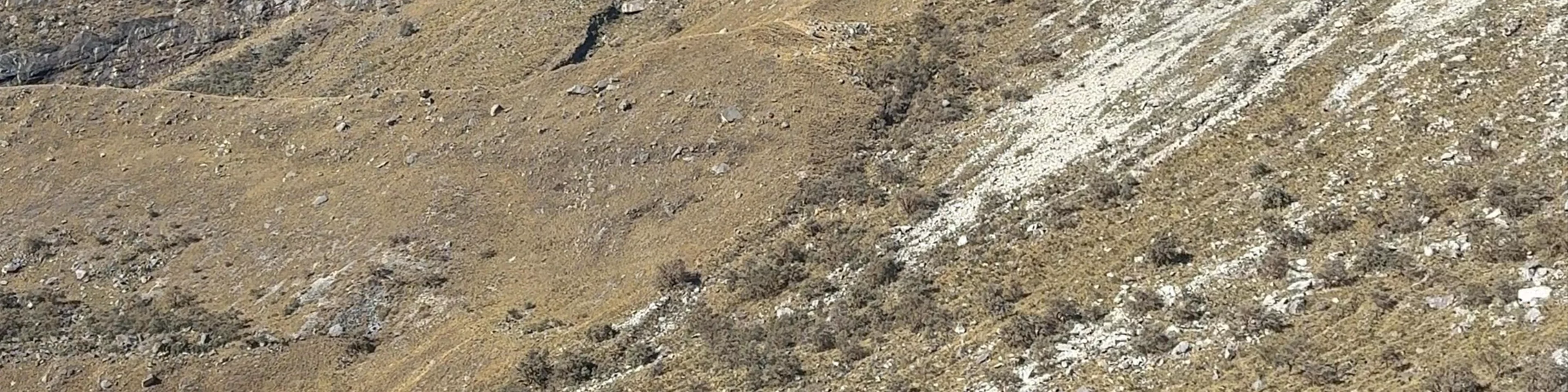 Arhuaycocha