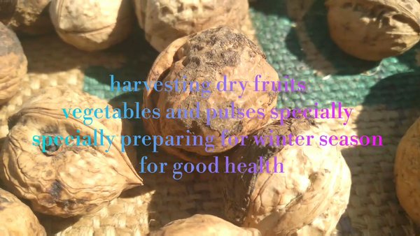 Photo of #Barang the Wonderla