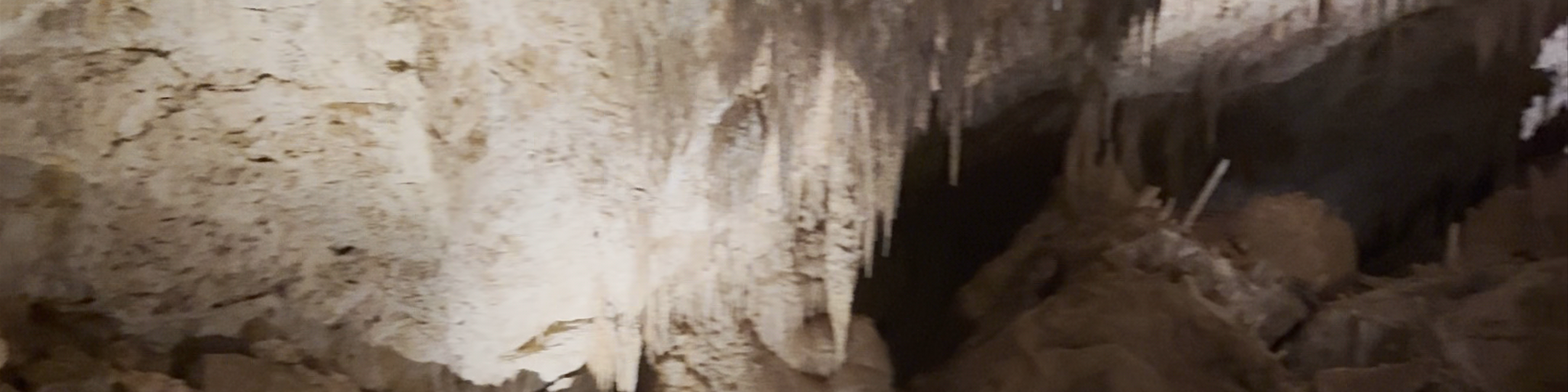 Mammoth Cave