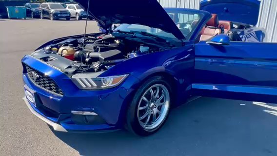 Olympia Auto Sales - #2903 - 2016 Ford Mustang EcoBoost Premium