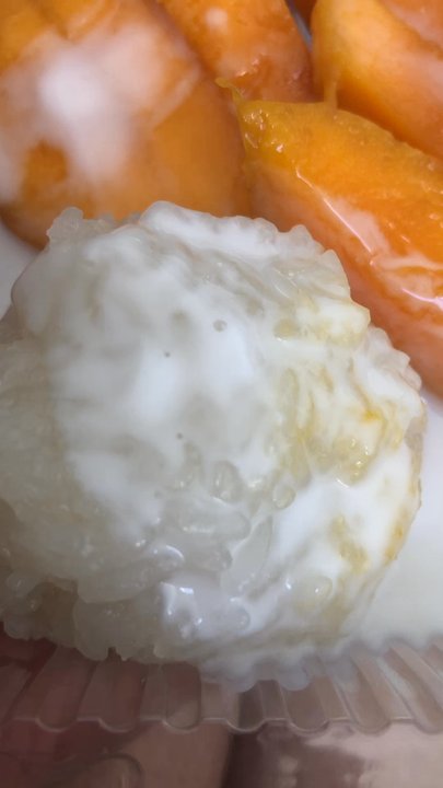 Grove Roots Brewing Co - Mango Sticky Rice - Breweries Near Me - Winter Haven, Florida