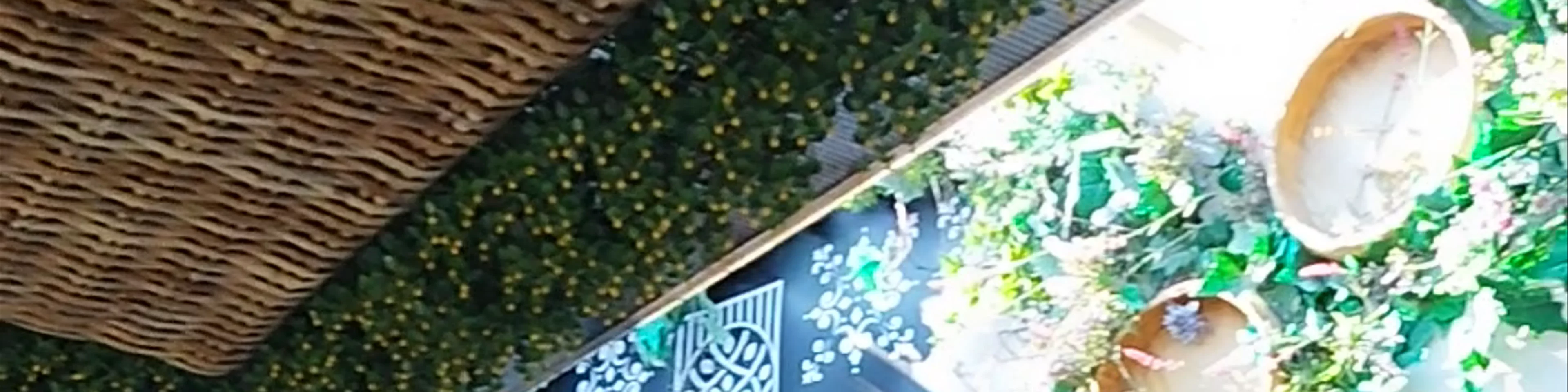 Zen Garden