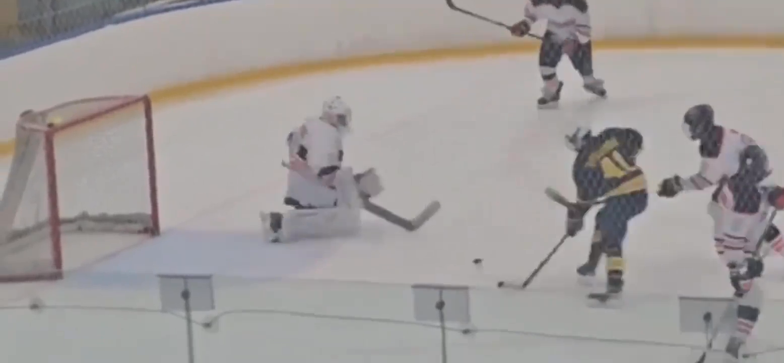 Luke McElwee: 2025-26 Top Saves Highlights | Prestige Stars 16U AA