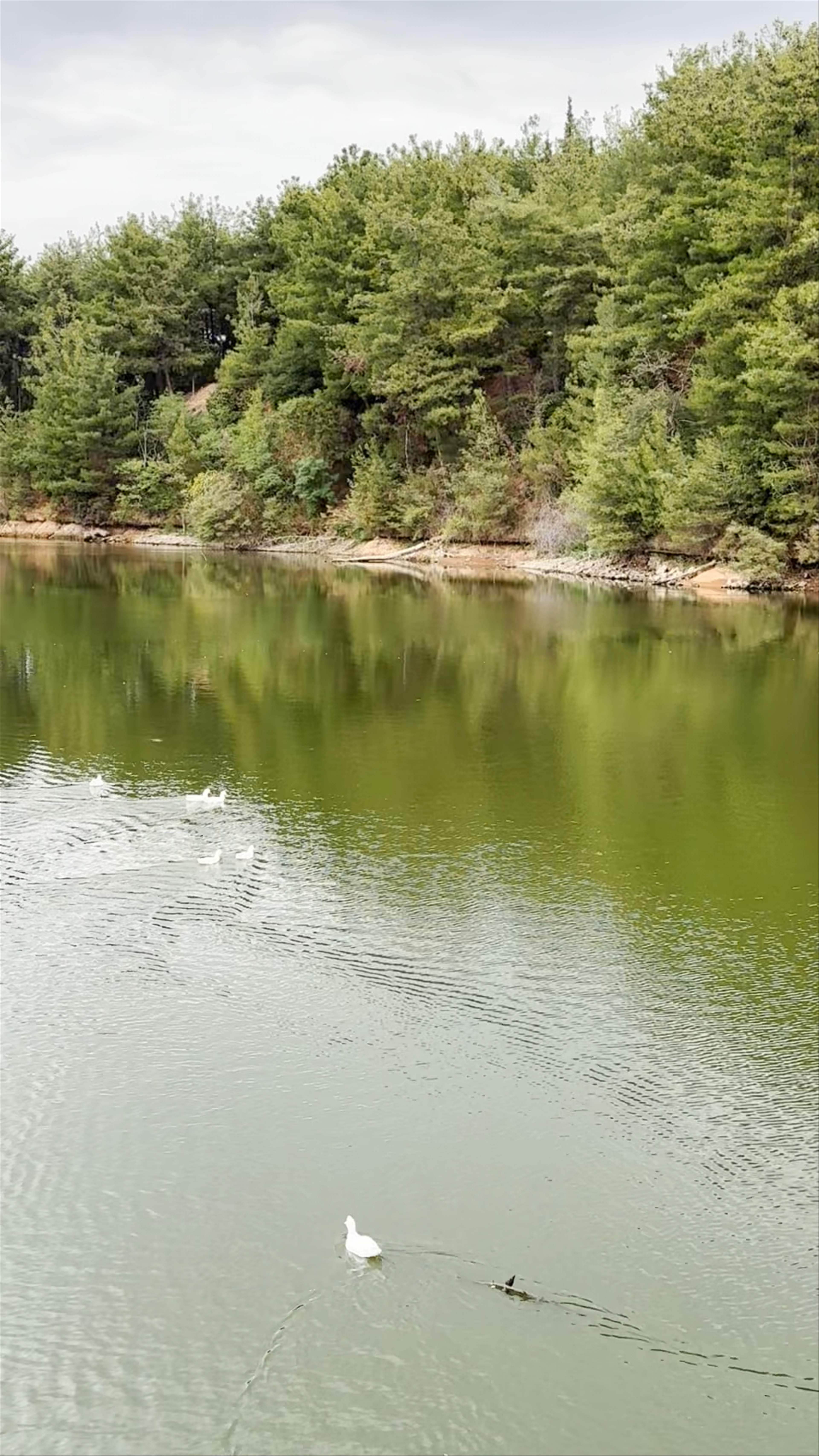 Thermi Dam
