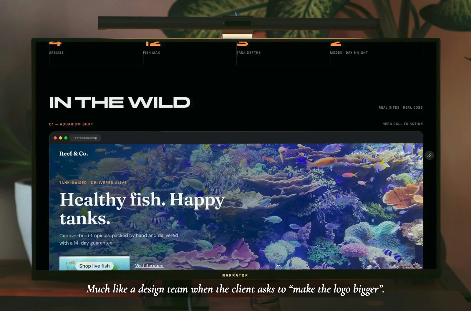 G'day guys, Buster Studios here! Today we're creeping up on three of the newest additions to the Framer component zoo. Keep your voices down, they spook easy.First up, the Fish Tank, $19. Look at that! A whole aquarium living inside a button. Hover your cursor near the glass and the little fellas swim right over to say hello. Now watch this, I'm gonna click it... and they're off! Straight behind the plants. Beautiful defensive behaviour. Come back at night and you'll spot jellyfish and glowing plankton. Gorgeous.Next, the Animal Farm: Africa enclosure, $5. Lions, elephants, giraffes, flamingos, all strolling across a landing page in their natural habitat. Flick on herd mode and, whoa, steady on, that's a full stampede. Stand back, mate.And my personal favourites, Animal Farm: Polar, $5. Emperor penguins (chicks optional), seals, puffins, a polar bear and an arctic fox. Drop the spacing below zero and they huddle up into one big colony to keep warm. Absolutely magnificent creatures.Now I need your help, because we're planning the next enclosure. What animal should we bring in? And would you let a stampede loose on a client's site, or keep it to your own projects? Tell me in the comments. The penguins are reading every one.Links down under:Fish Tank: https://possible-fact-890066.framer.appAfrica: https://discreet-service-440039.framer.appPolar: https://discreet-service-440039.framer.app/polarNo animals were harmed in the making of these components. Several were mildly inconvenienced.