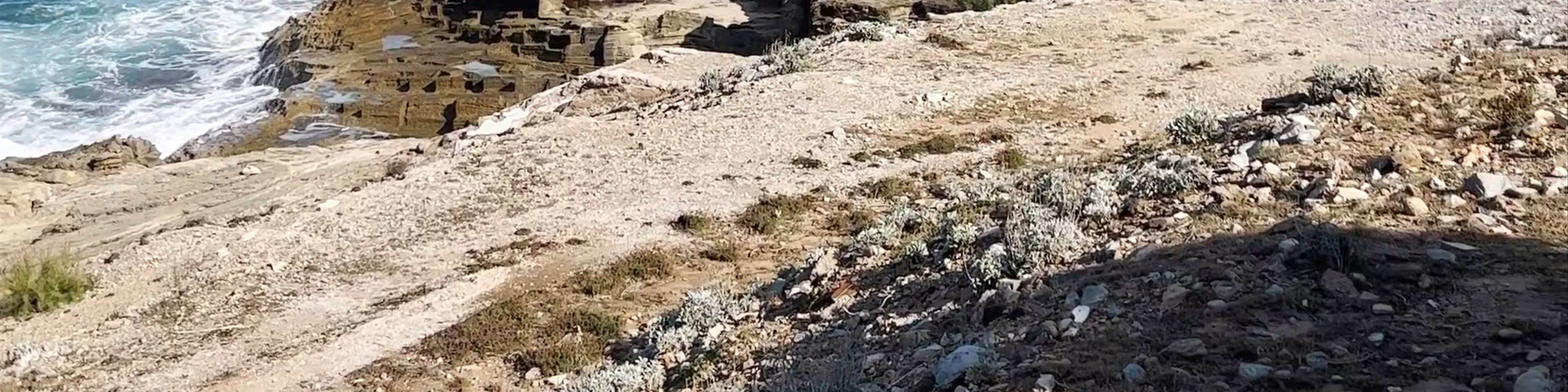 Cala Mesquida