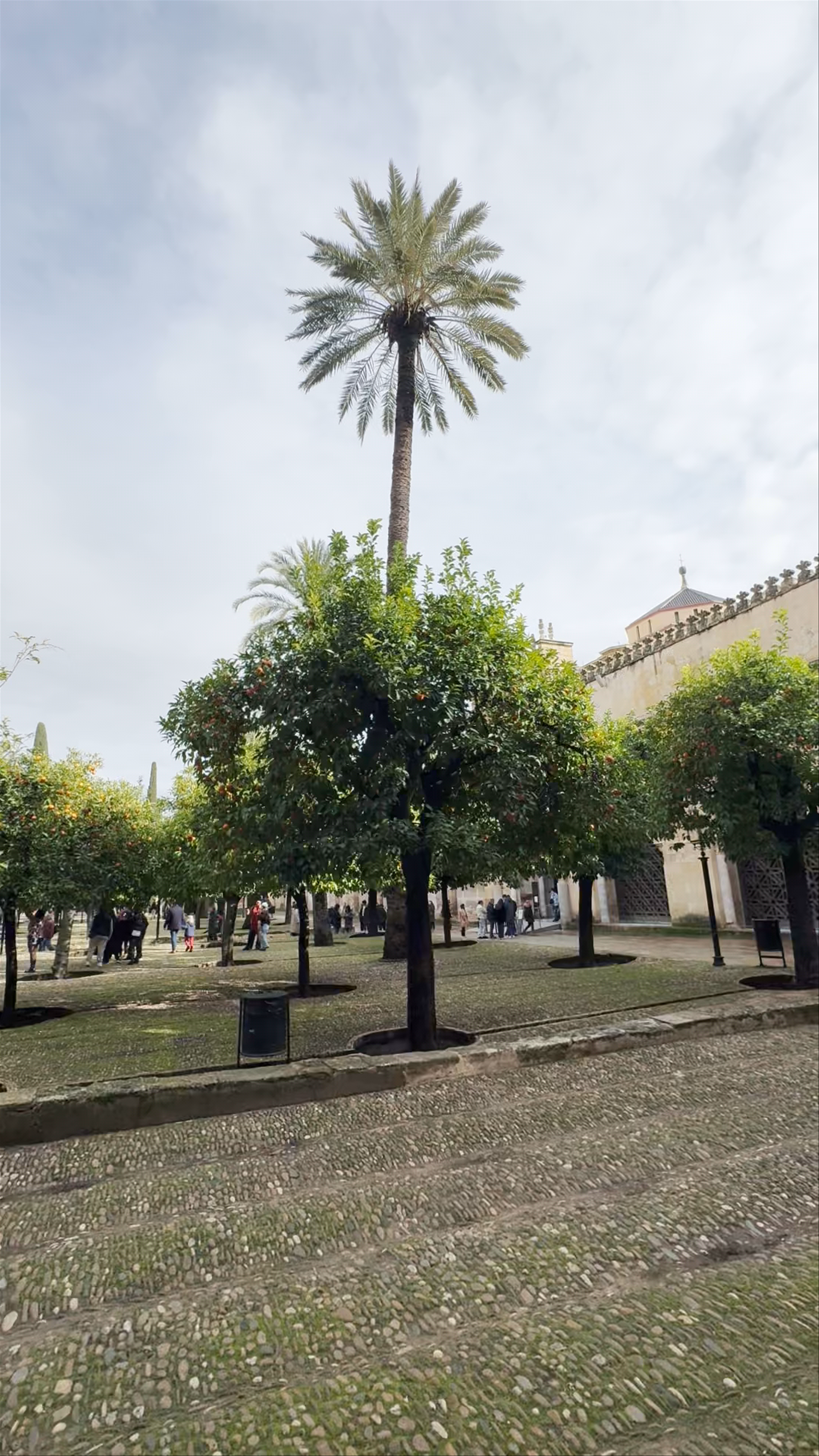 Patio de los Naranjos