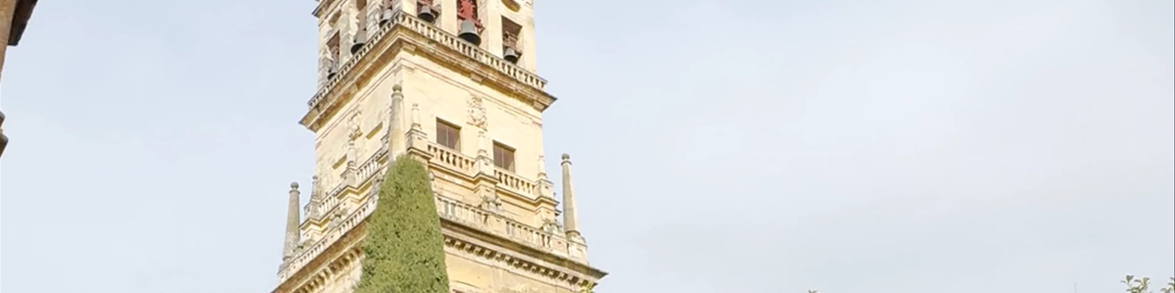 Patio de los Naranjos