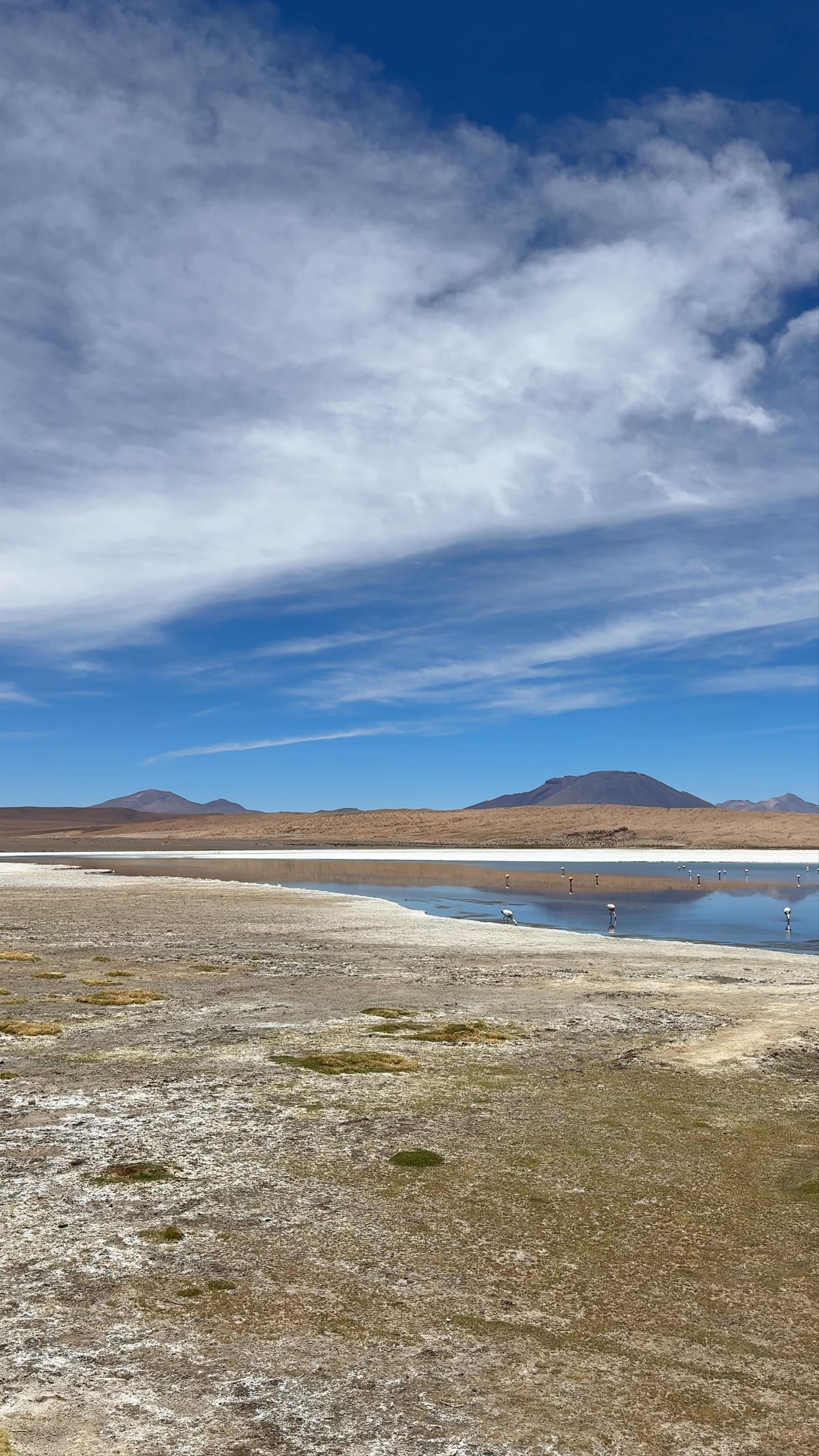 Laguna Cañapa