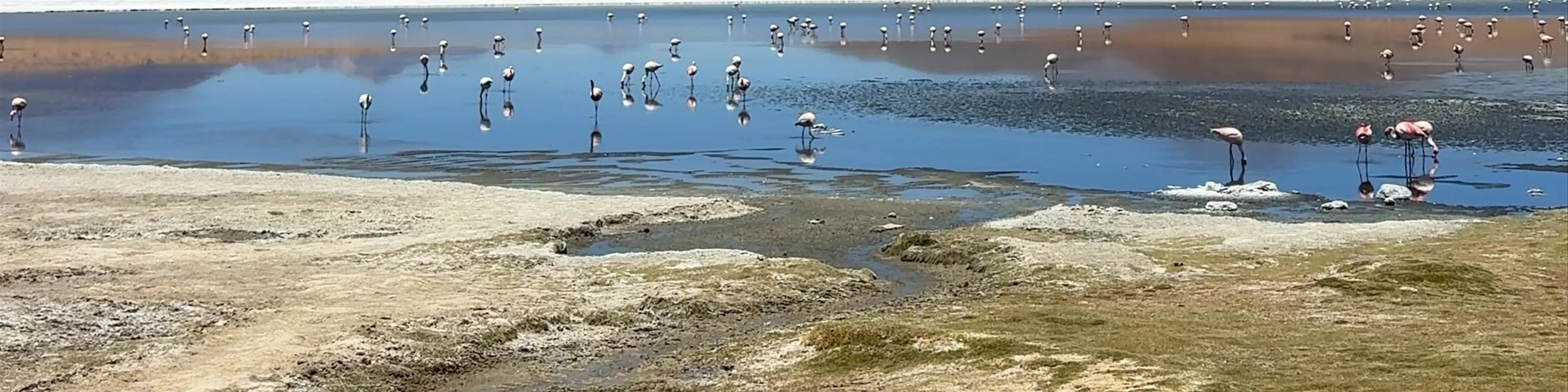 Laguna Cañapa