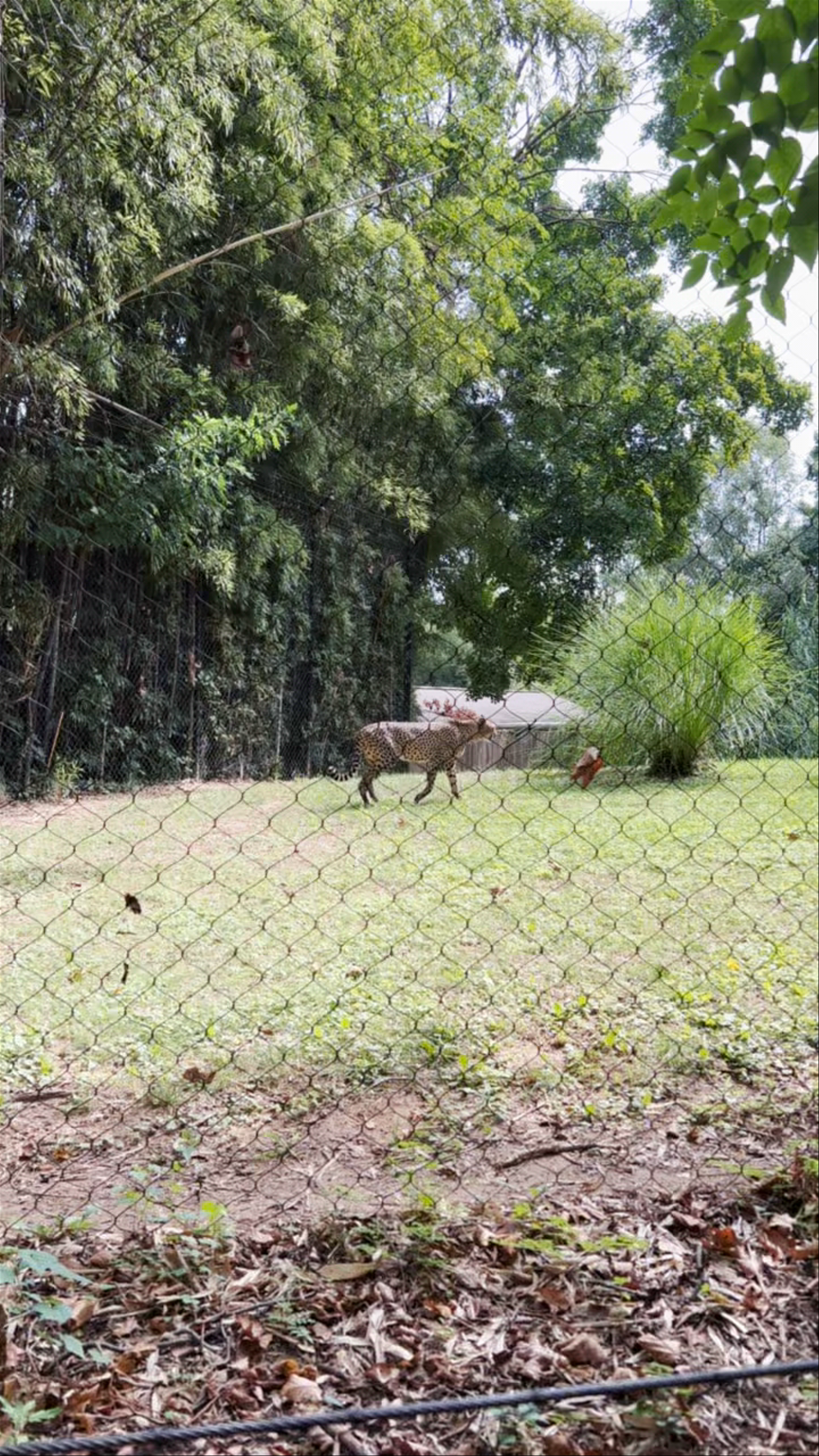 Smithsonian National Zoological Park