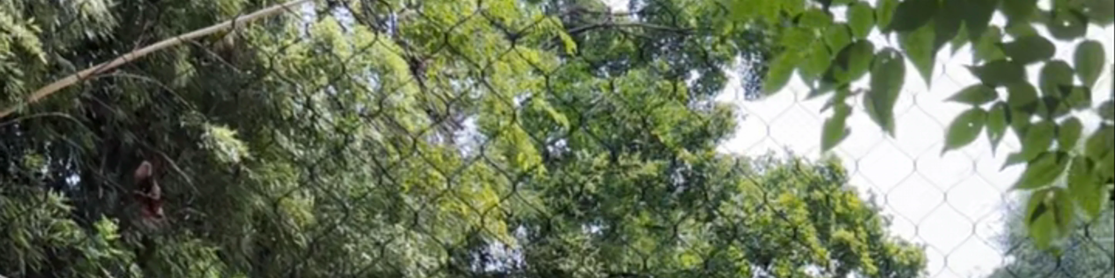 Smithsonian National Zoological Park