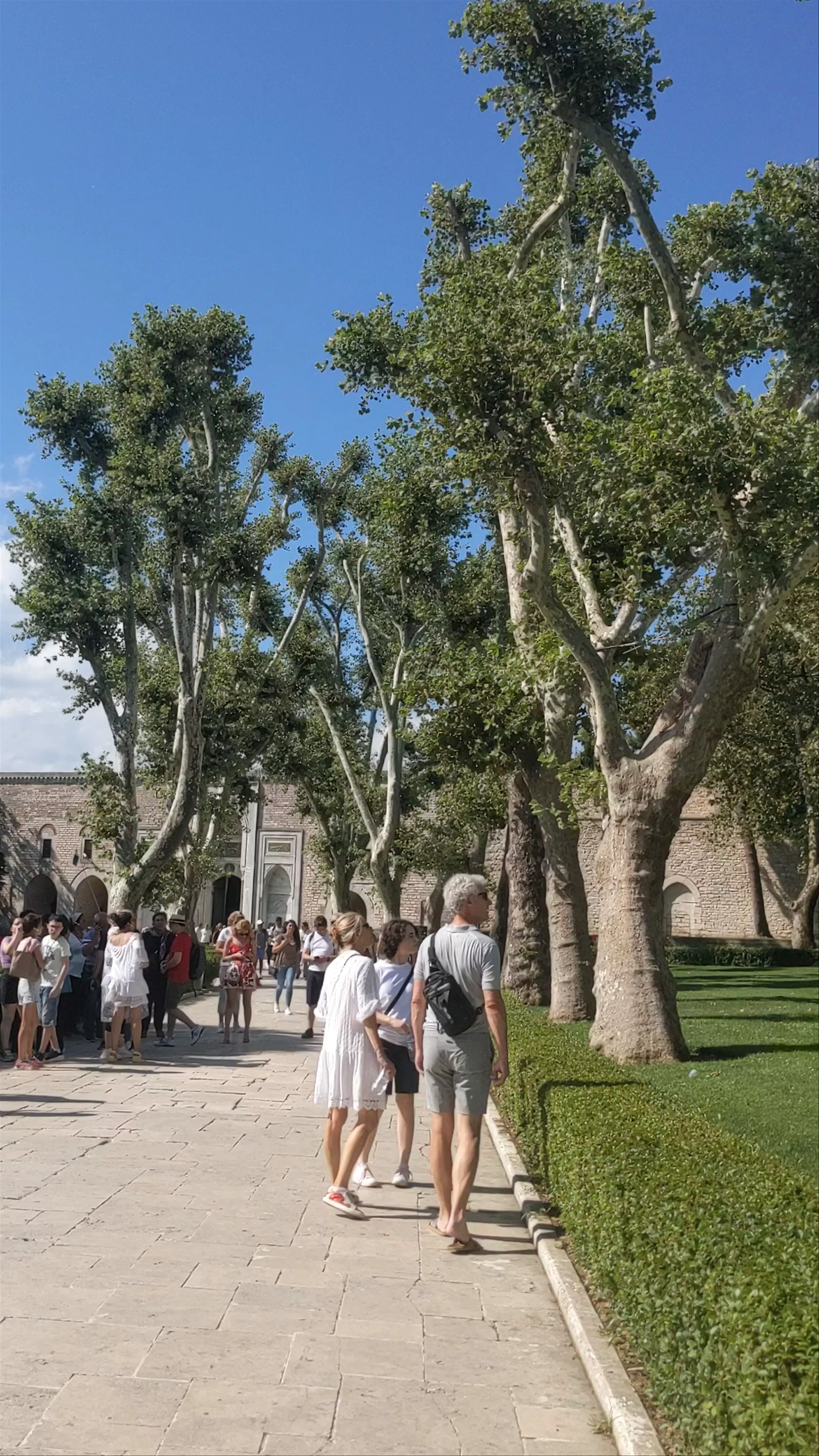 Topkapı Palace Courtyard