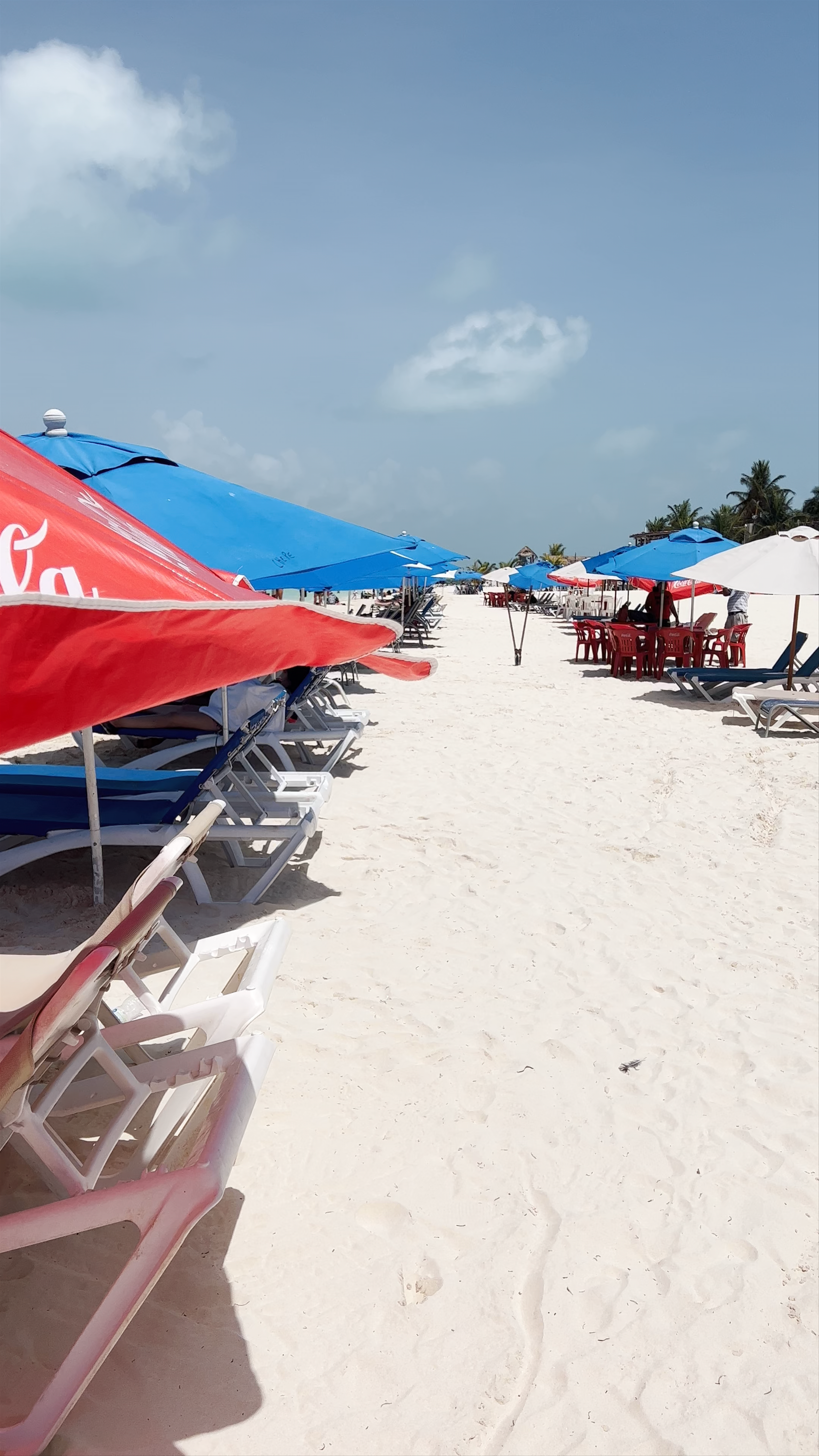 Sun-Kissed Serenity at Playa Centro, Isla Mujeres