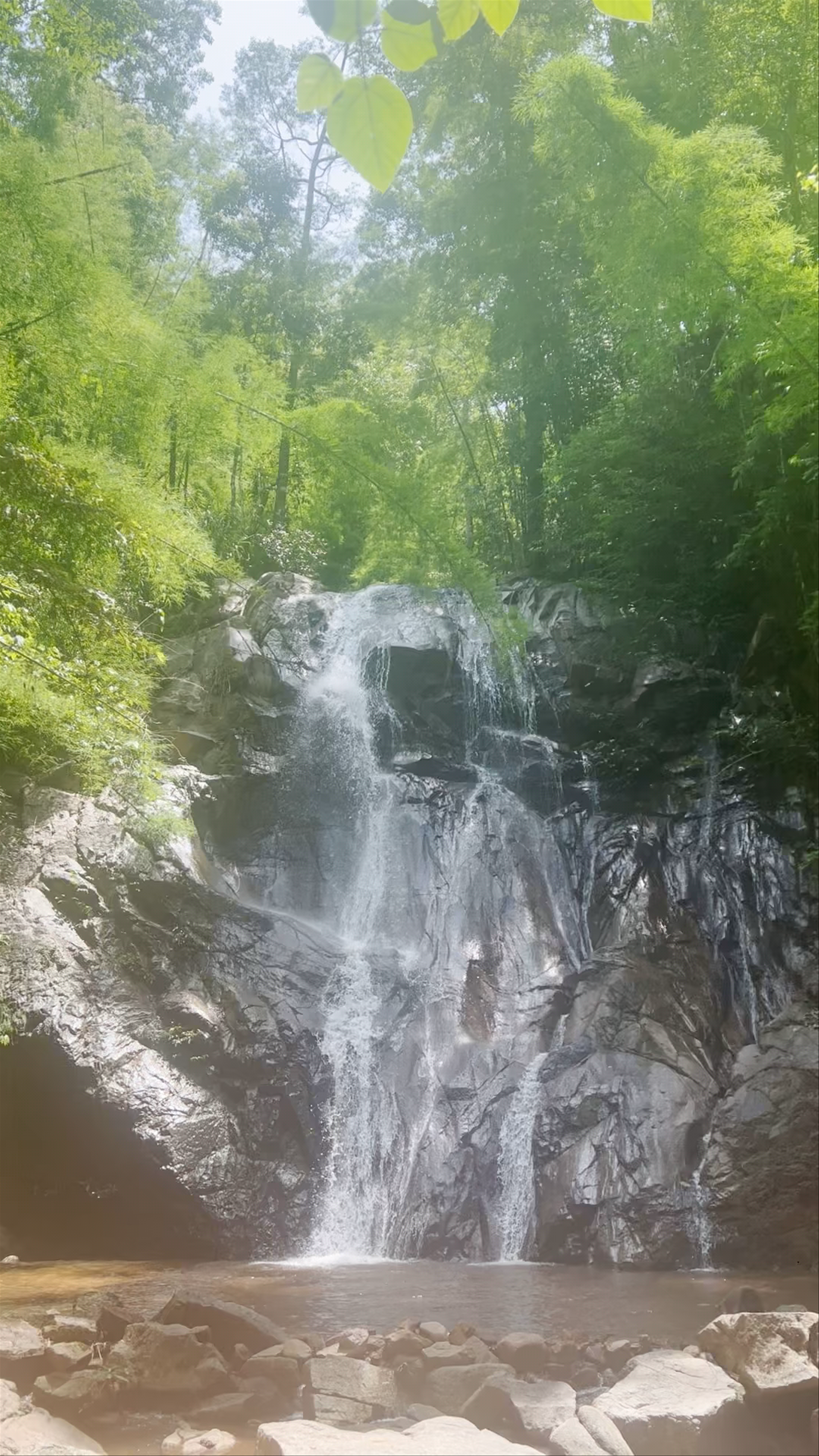 Tad Mok Waterfall: Tranquil Forest Escape in Chiang Mai