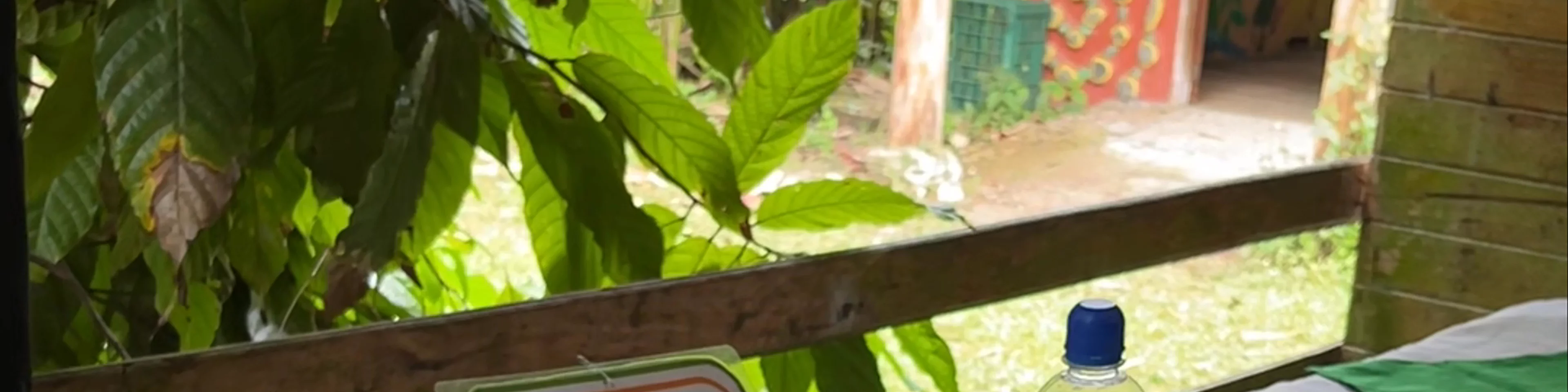 Finca Integral Didactica Agroecologica Loroco