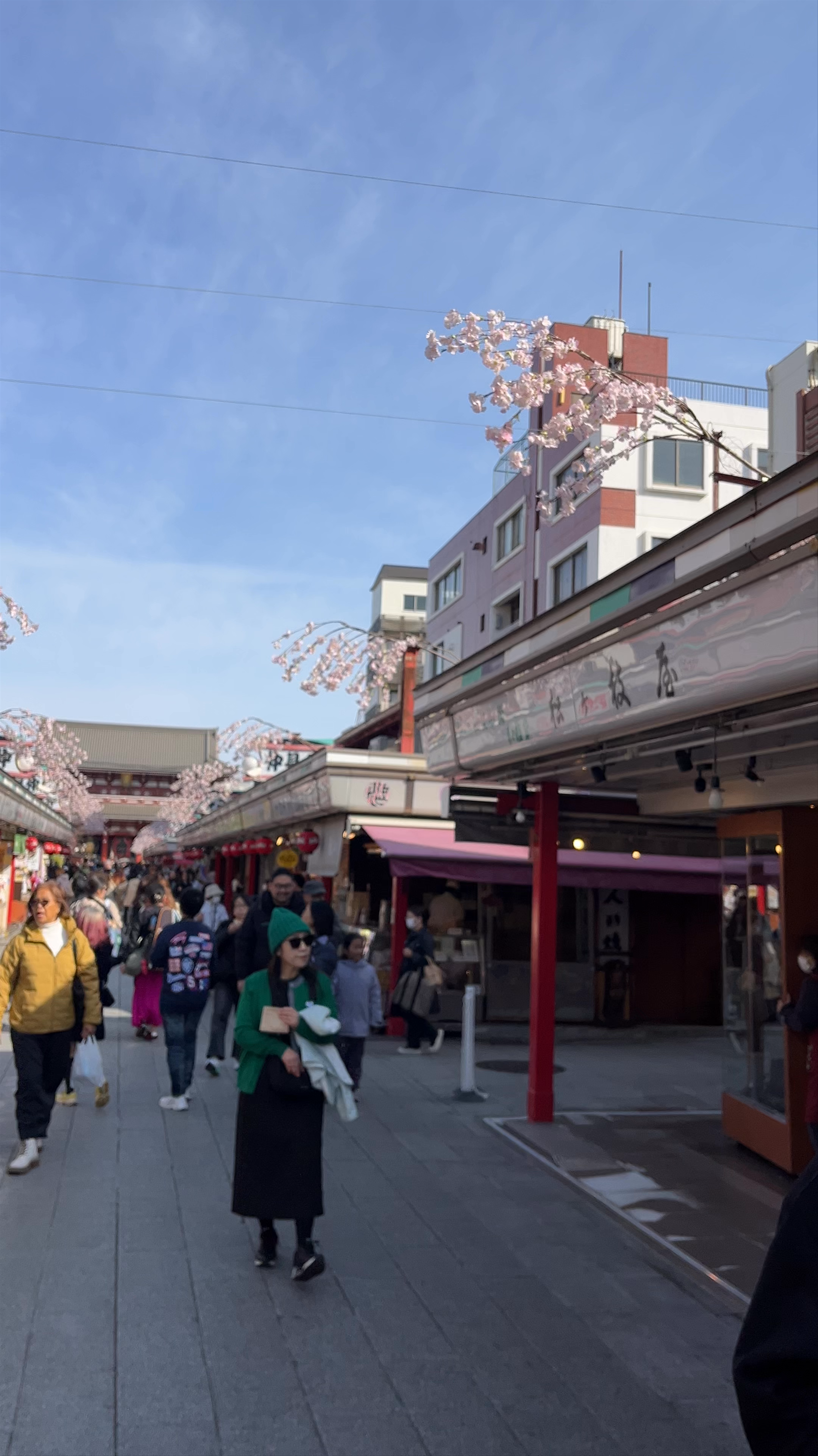 Nakamise Shopping Street