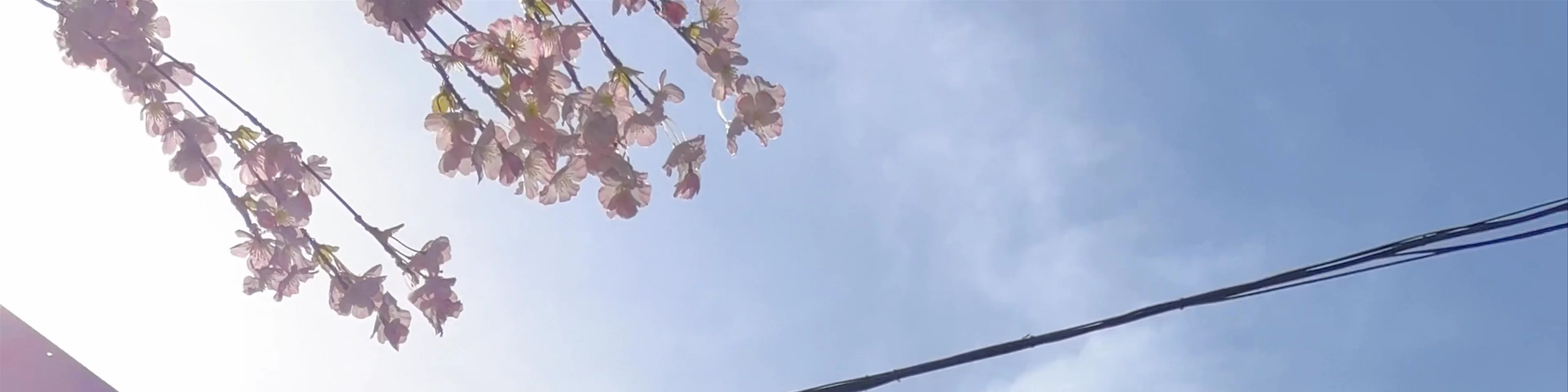 Nakamise Shopping Street