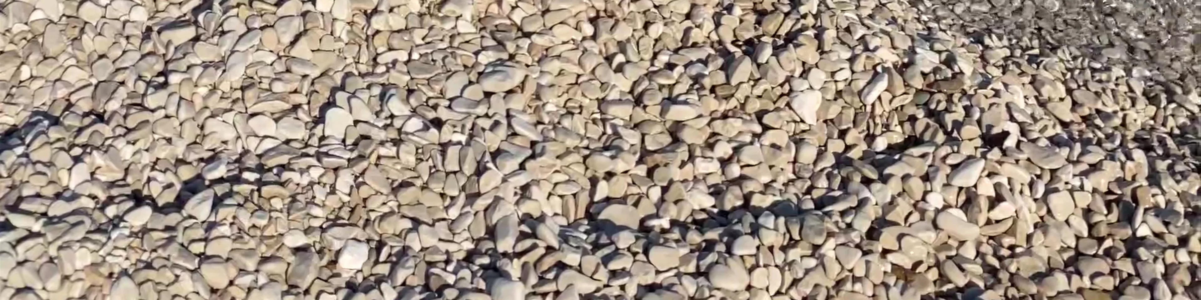 Plaža zenta