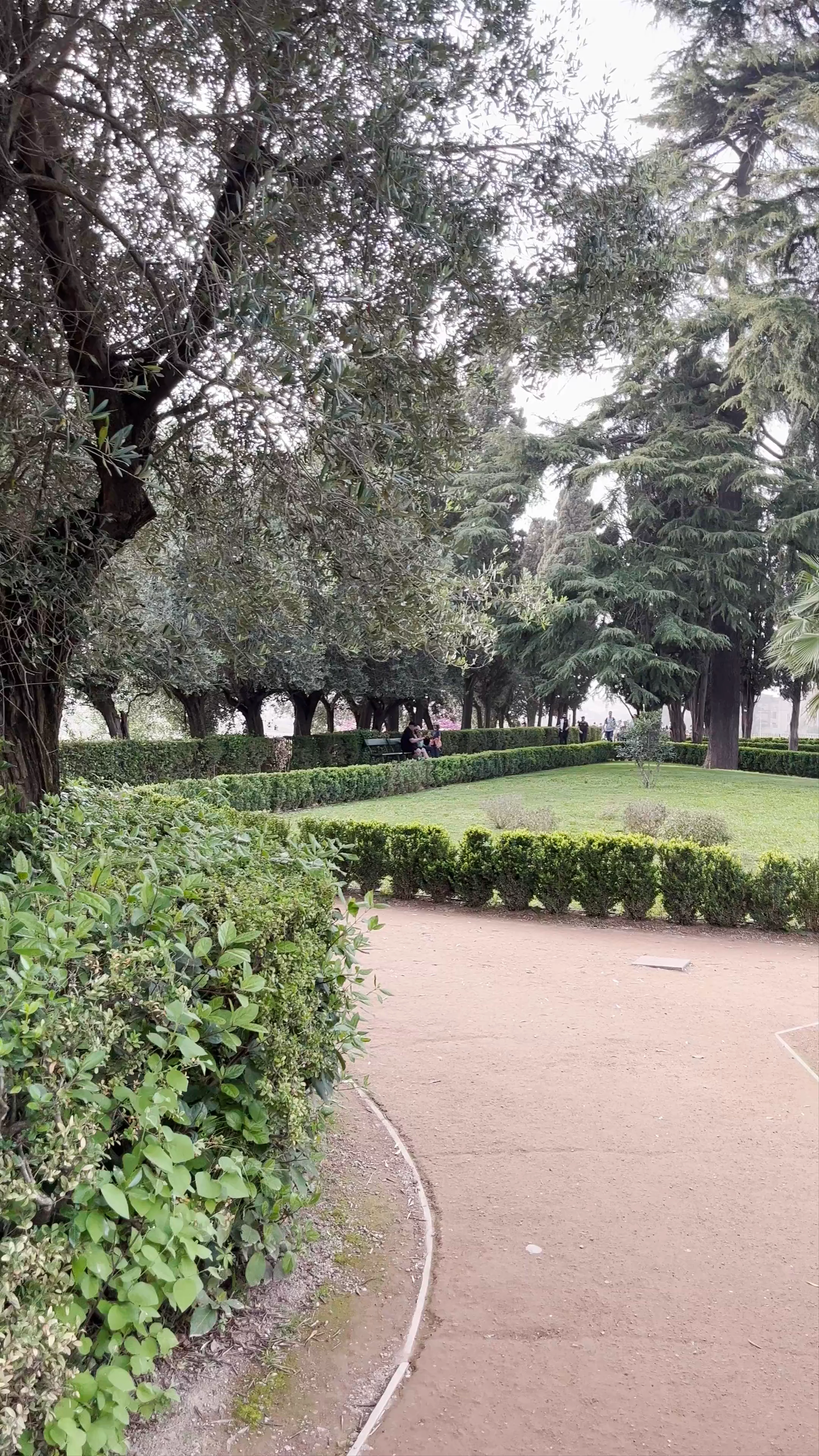 Uccelliere Farnesiane, Orti Farnesiani sul Palatino, Via di San Gregorio