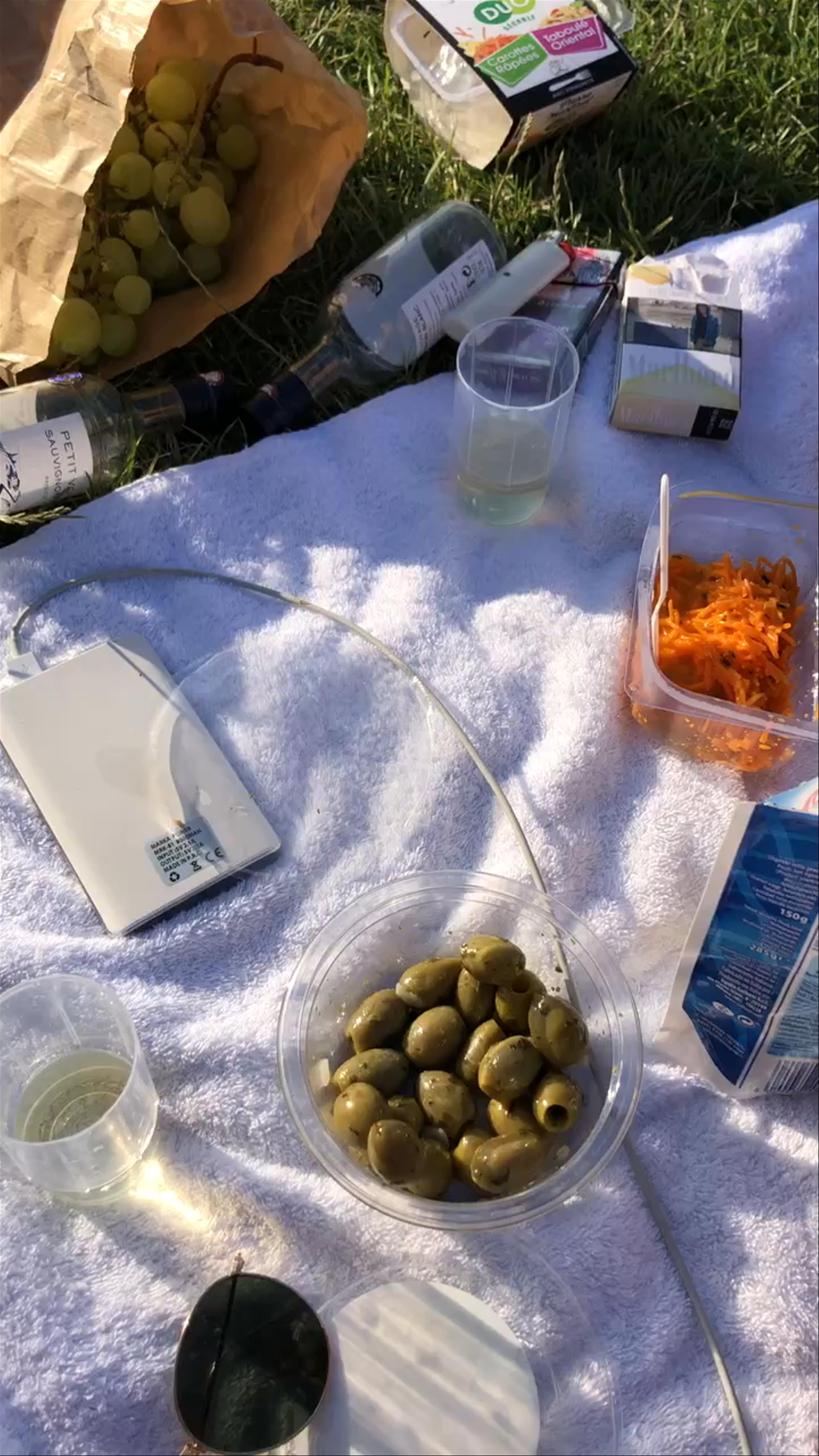 Sunlit Picnic Near the Eiffel Tower: A Relaxed Parisian Afternoon