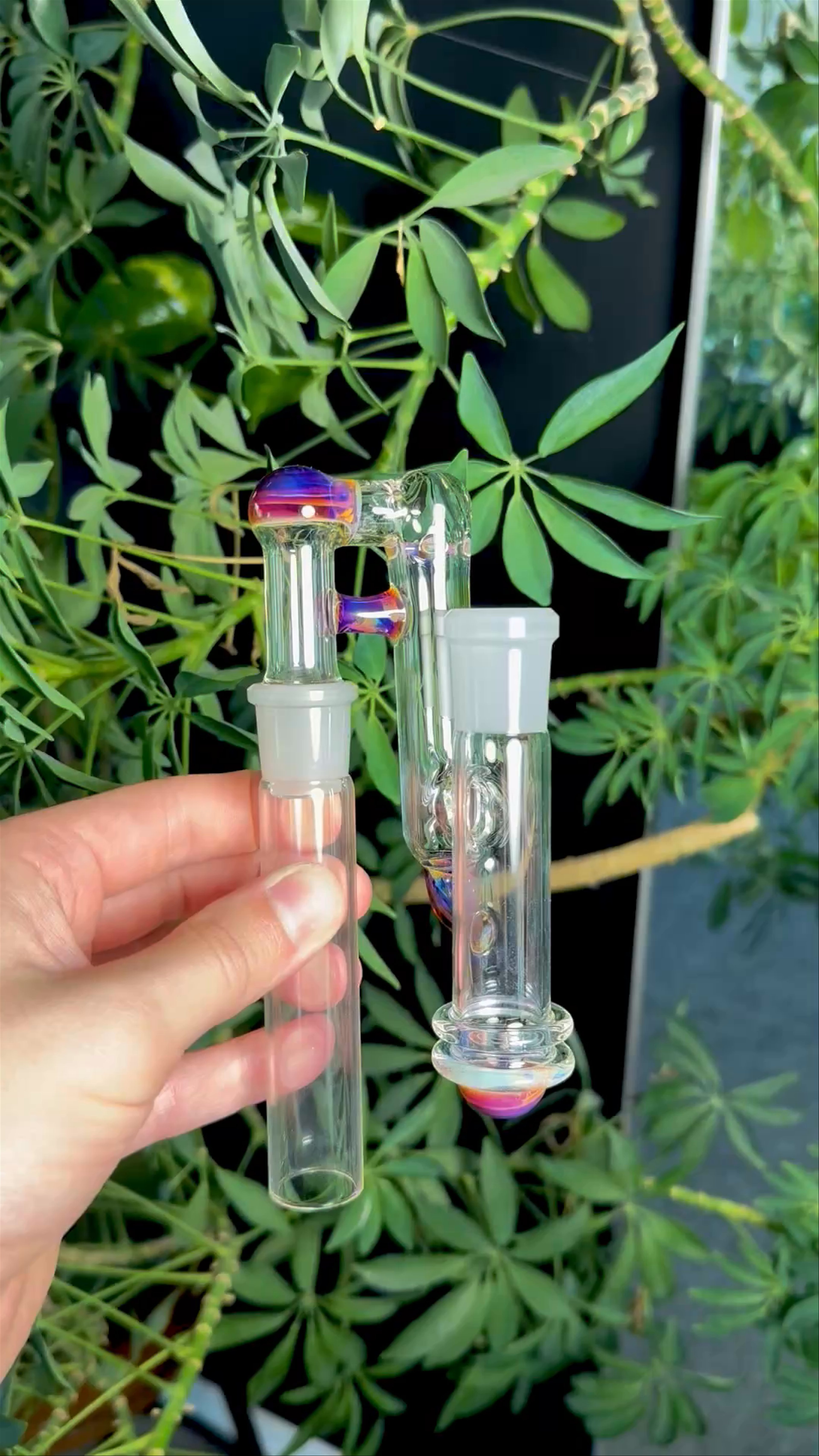 Preview pic of 18mm Amber Purple ashcatcher