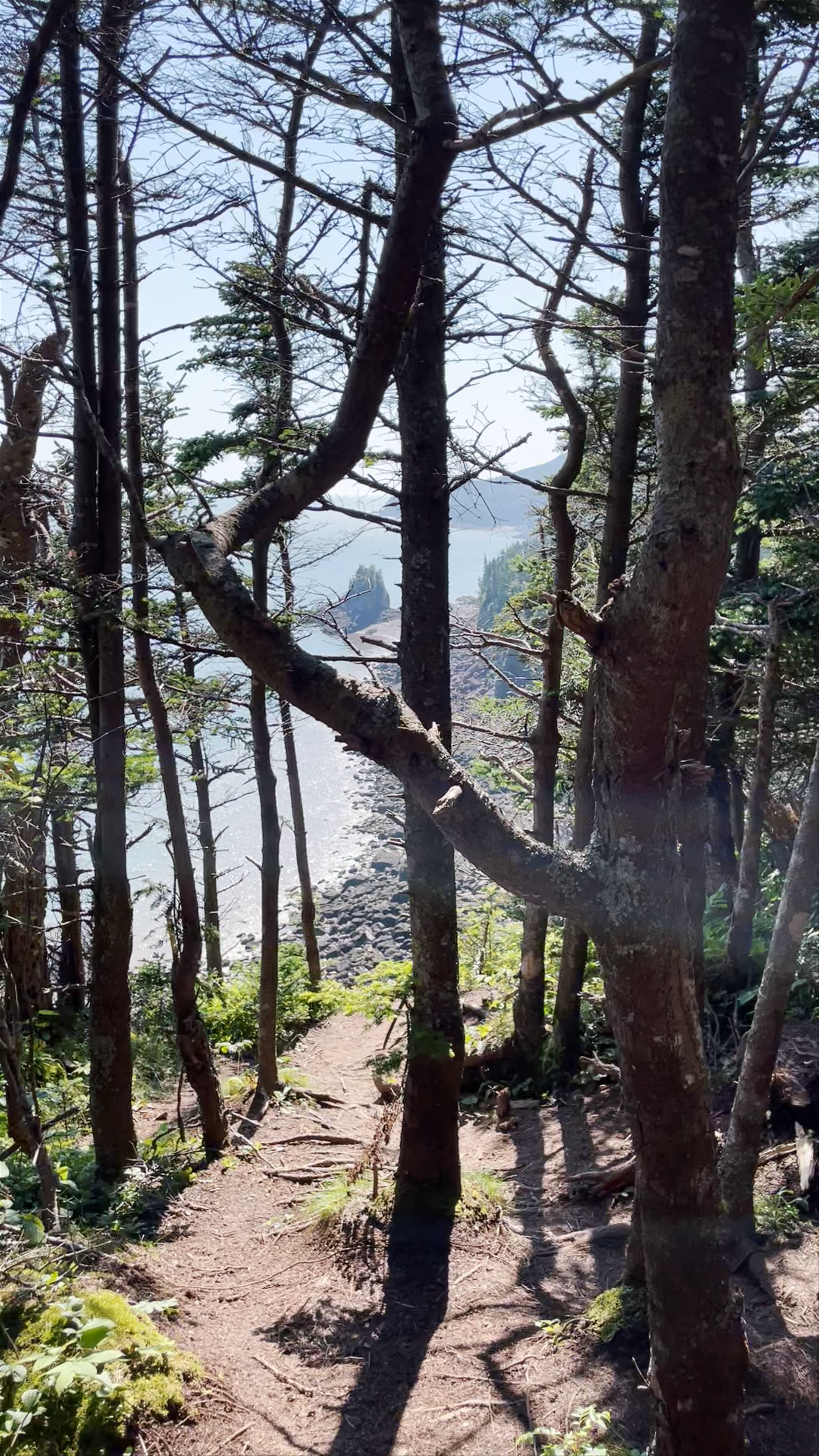 Matthew’s Head Trailhead