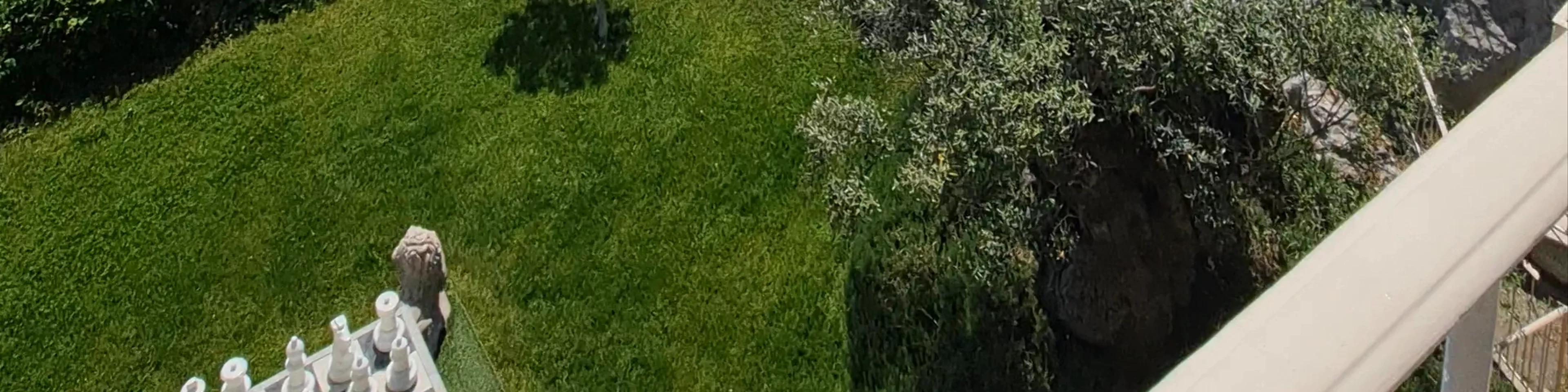 Le Jardin Exotique