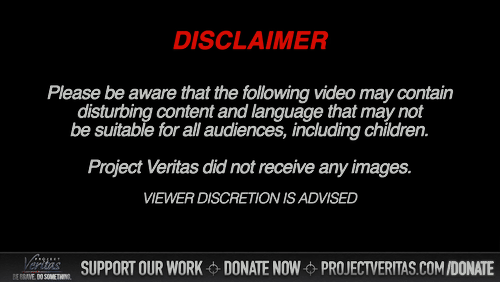 Video Thumbnail Loop