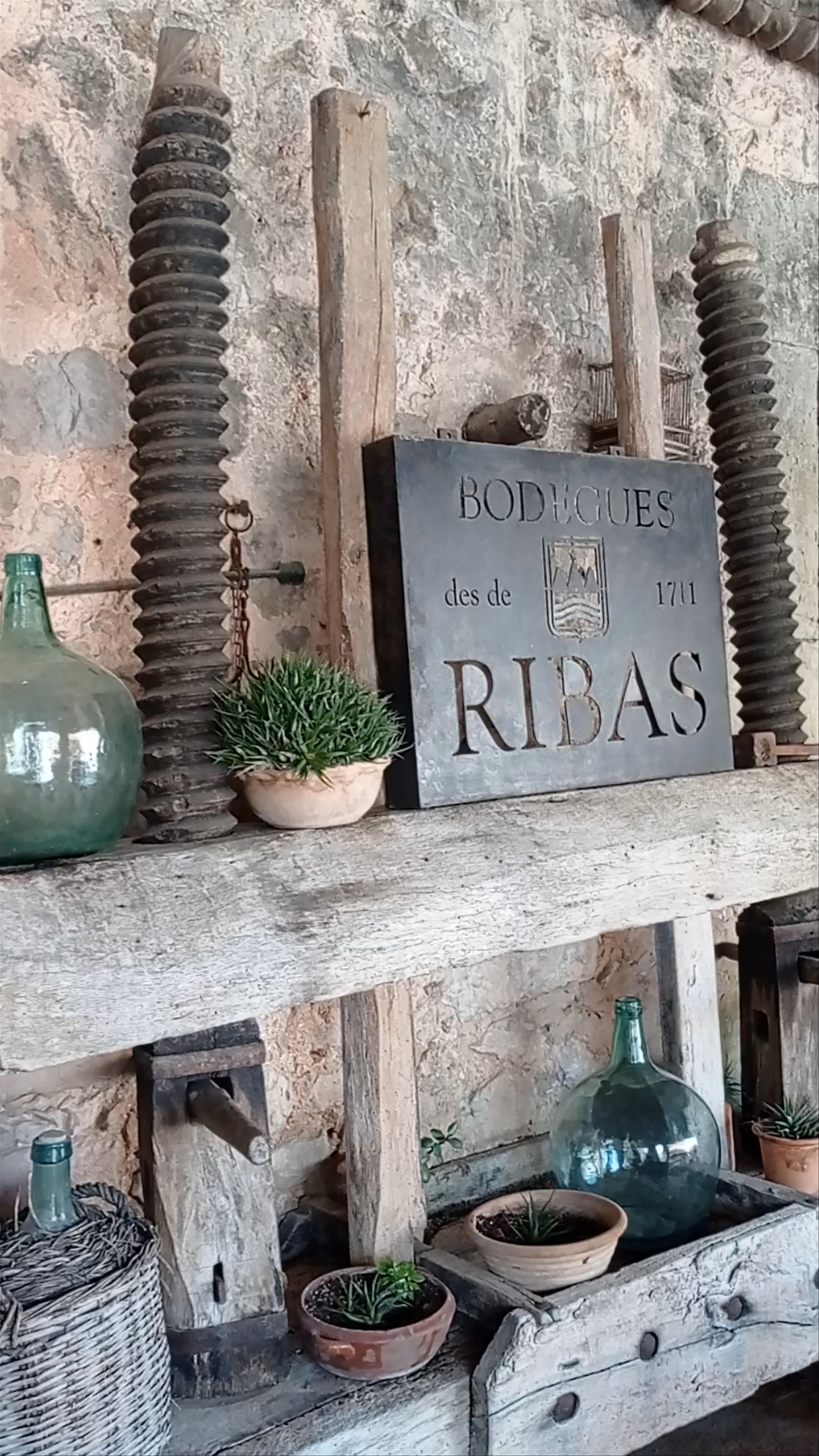 Bodega Ribas