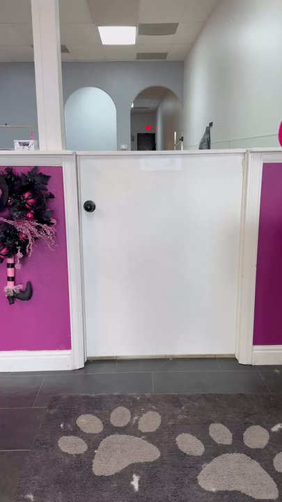 Pampered Pups Grooming - Pet Groomers Near Me - Highlands Ranch, Colorado