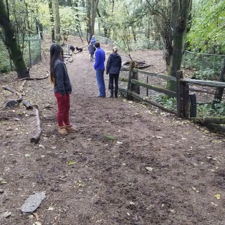 Northacres Park - Dog Parks Near Me - Seattle, Washington