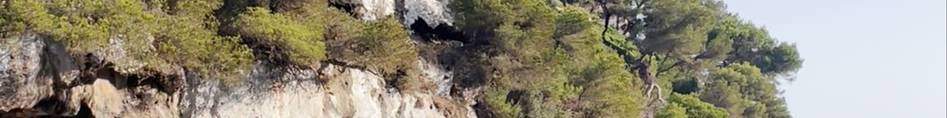 Tours & experiences in Santanyí
