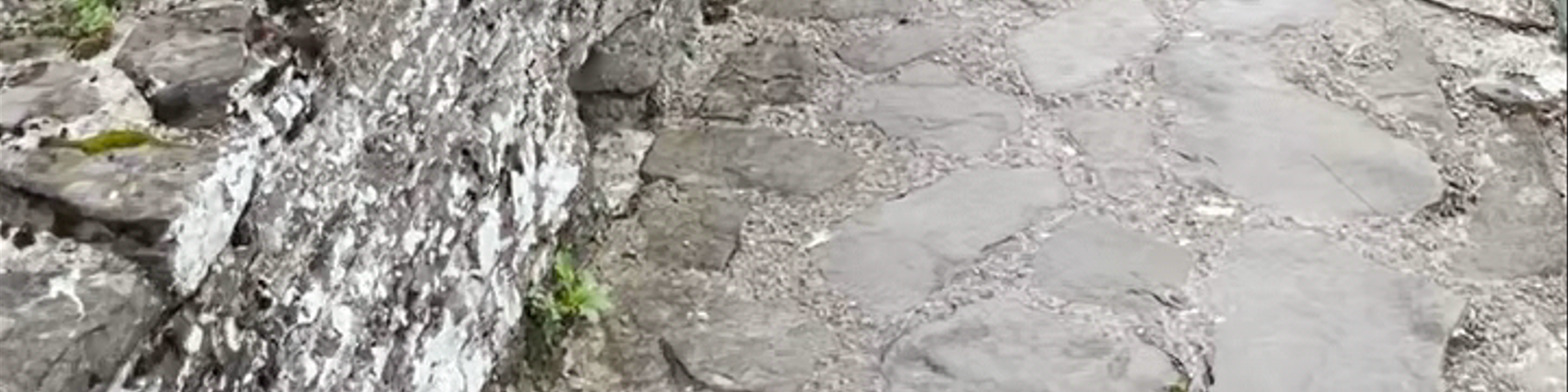 Conwy
