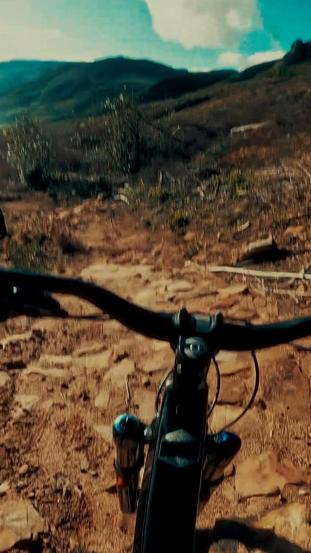 Scan.com saved my life