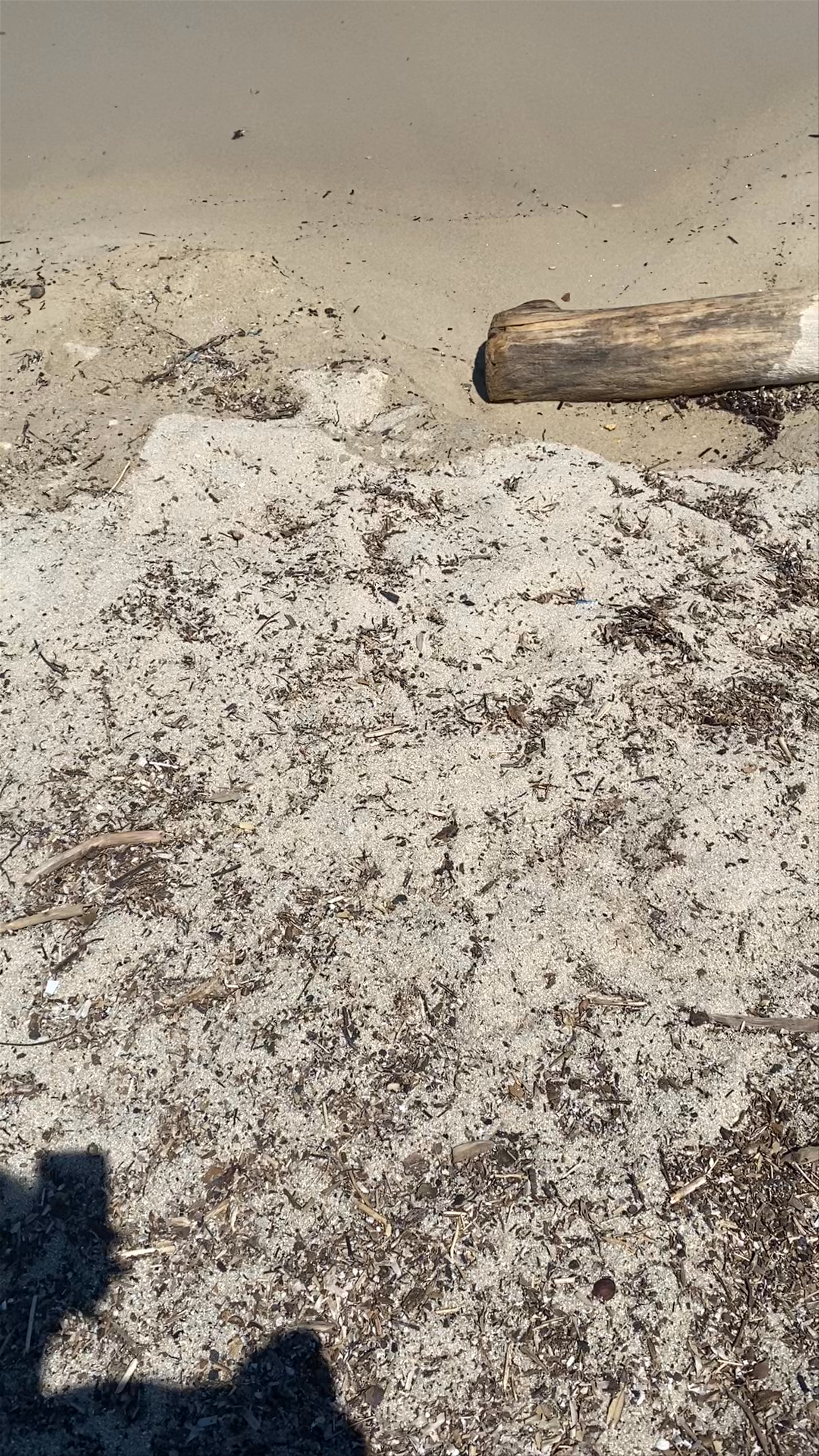 Mikro Karidi Beach