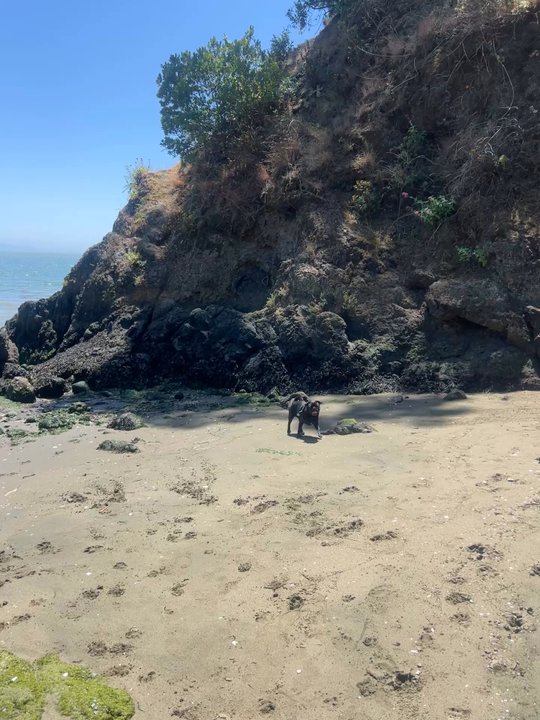 San Quentin Beach - Beaches Near Me - San Quentin, California