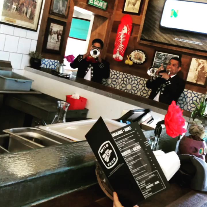 Wild Taco - Mexican Near Me - Newport Beach, California