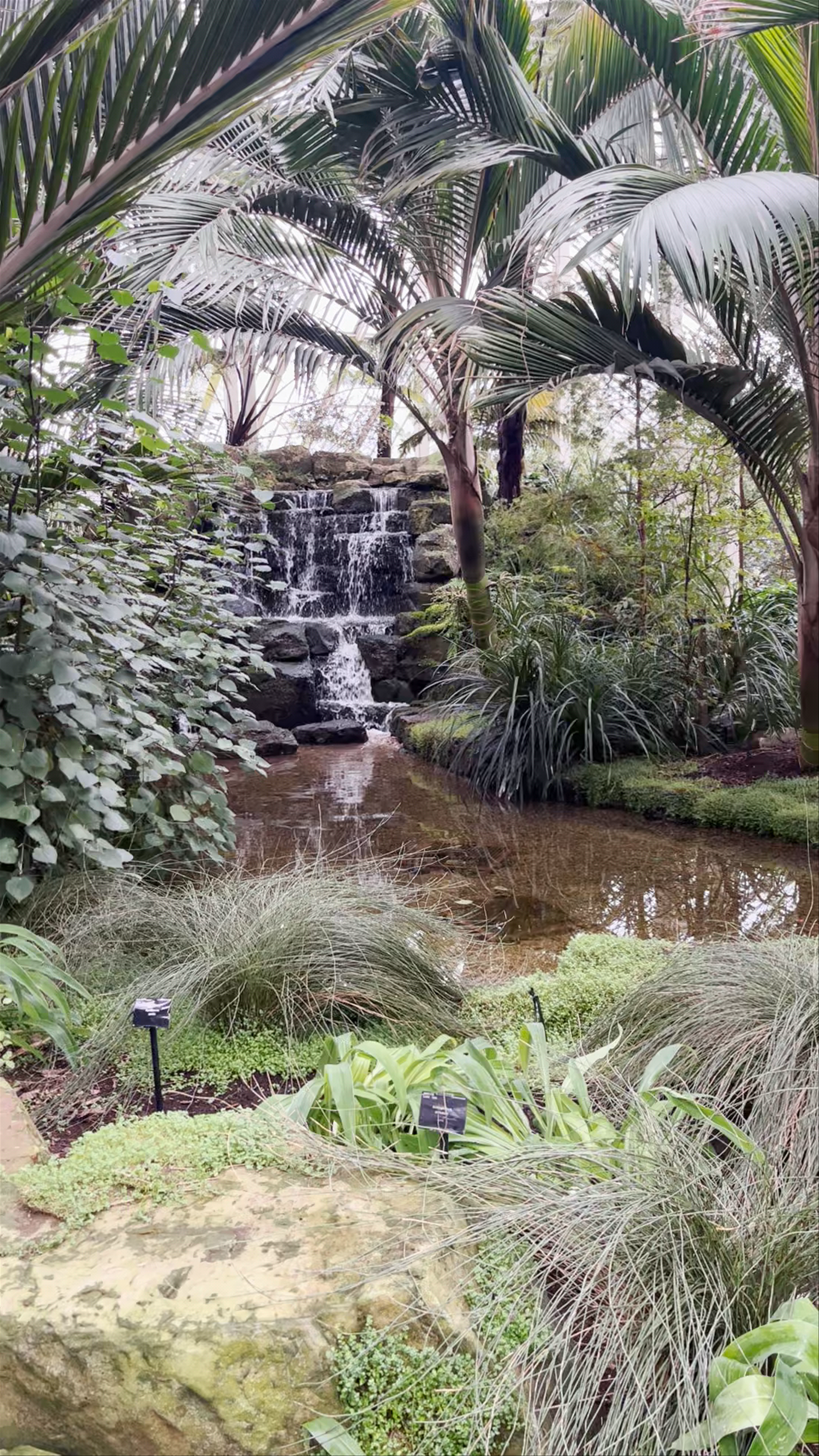 Kew Gardens