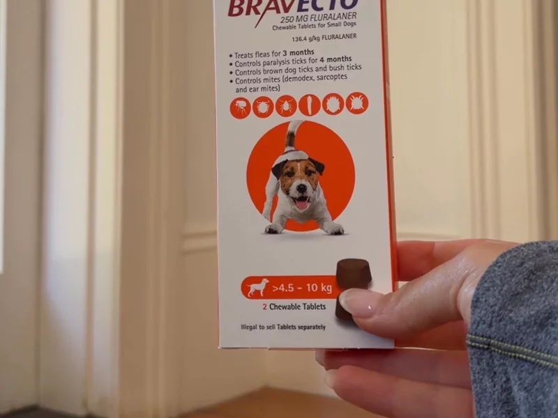 Pet Circle x Bravecto