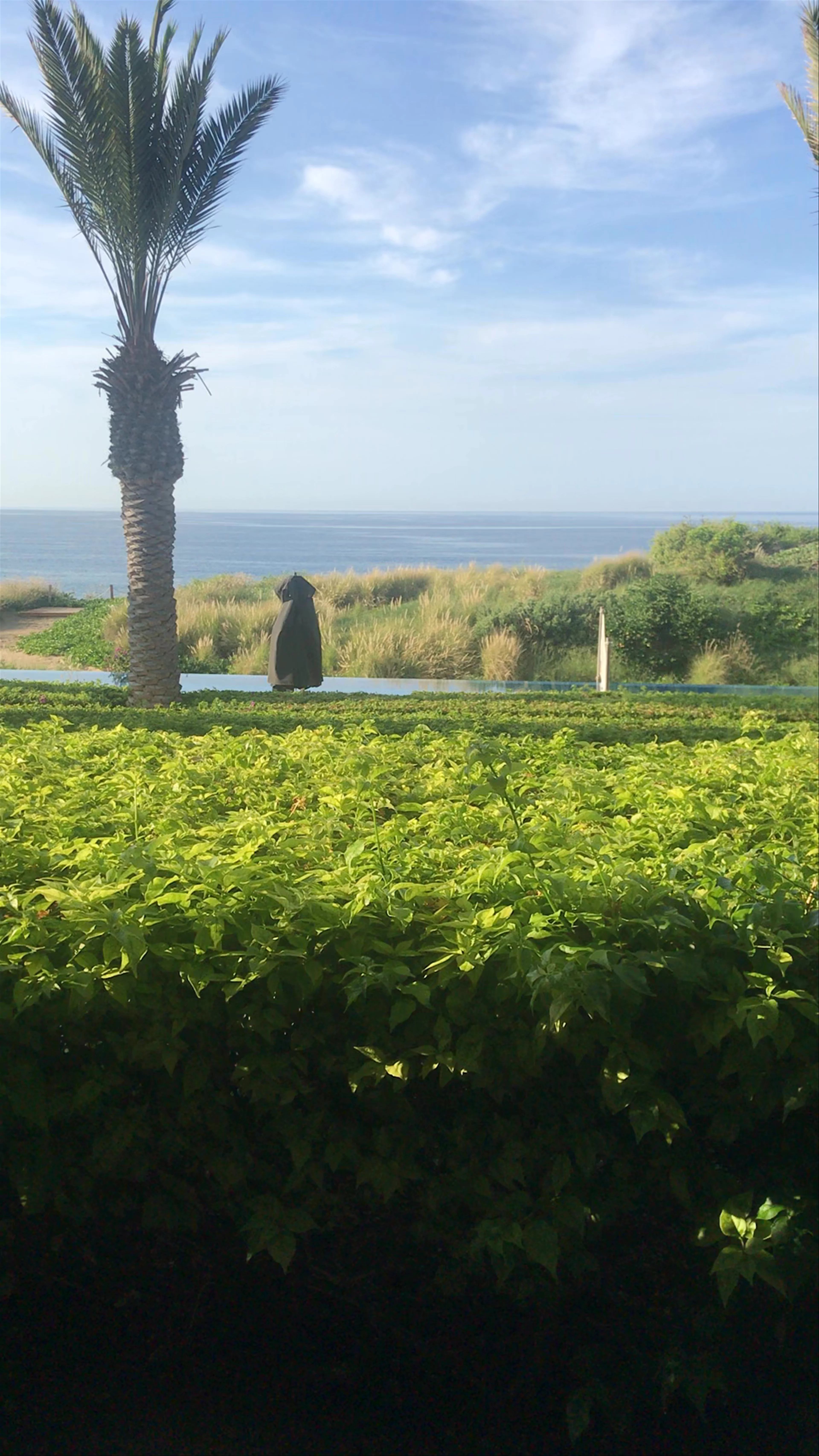 JW Marriott Los Cabos Beach Resort & Spa