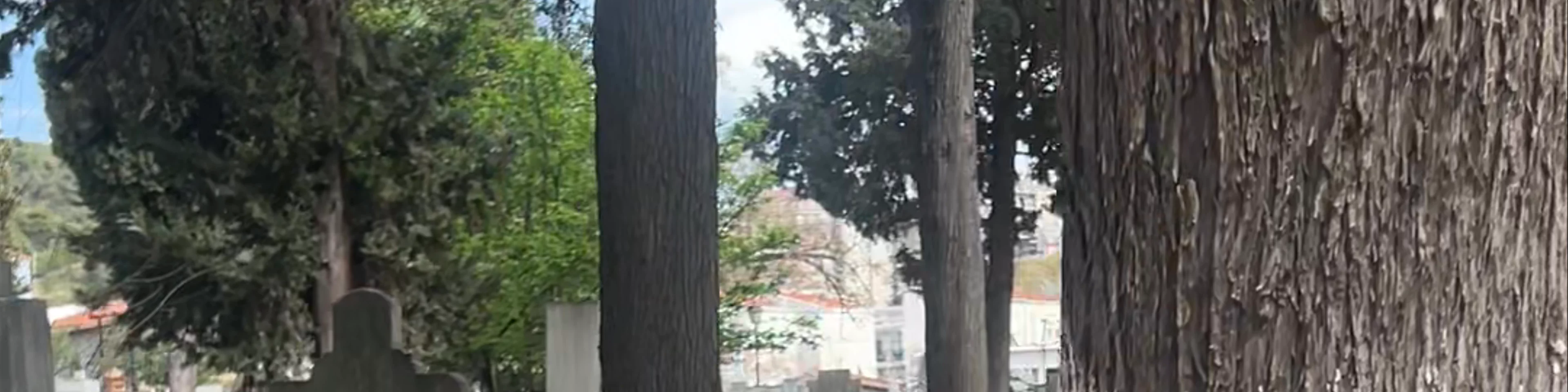 ΔΗΜΟΤΙΚΟ ΚΟΙΜΗΤΗΡΙΟ ΕΥΑΓΓΕΛΙΣΤΡΙΑΣ