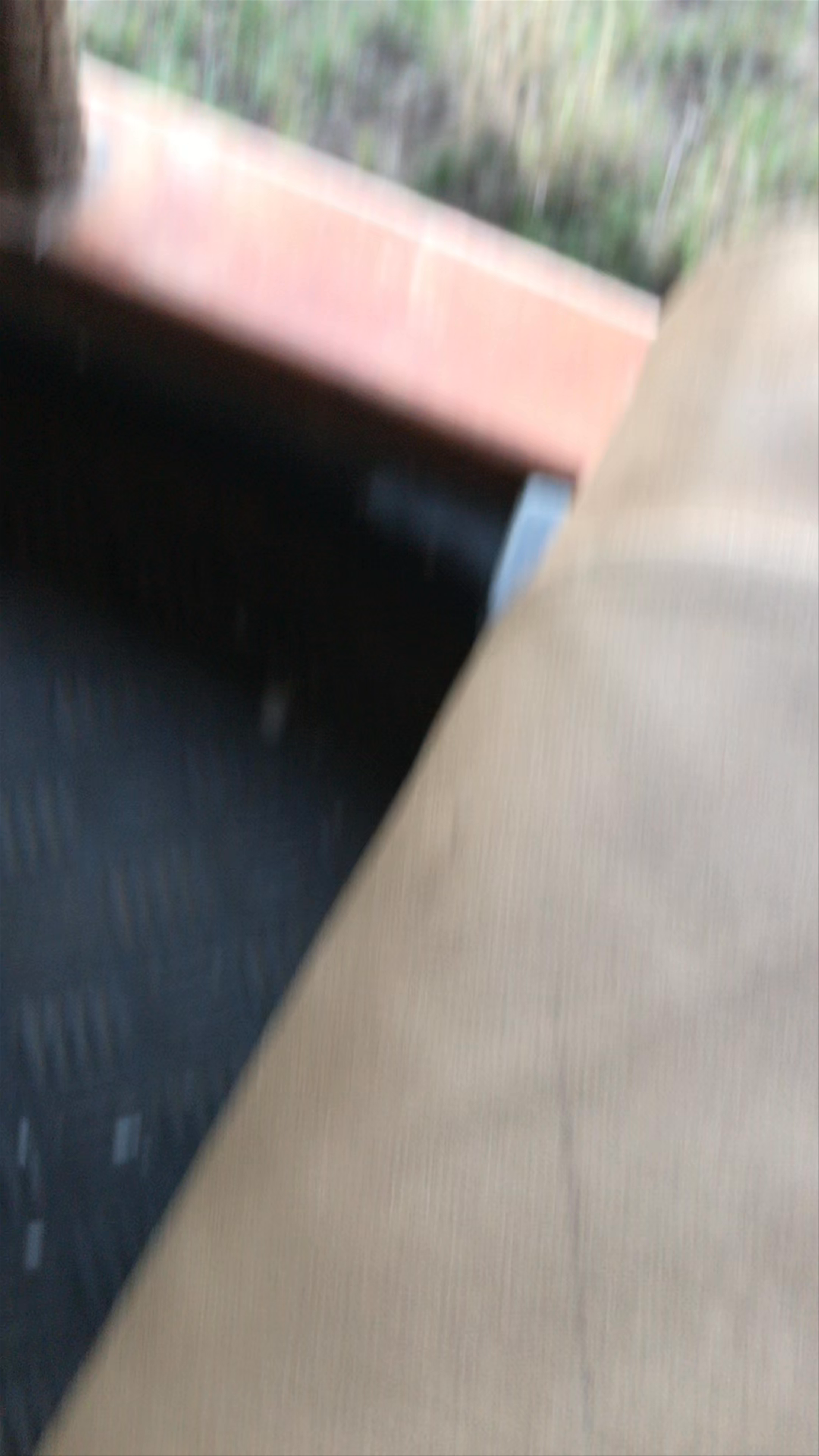 lion tracking in Masai Mara 