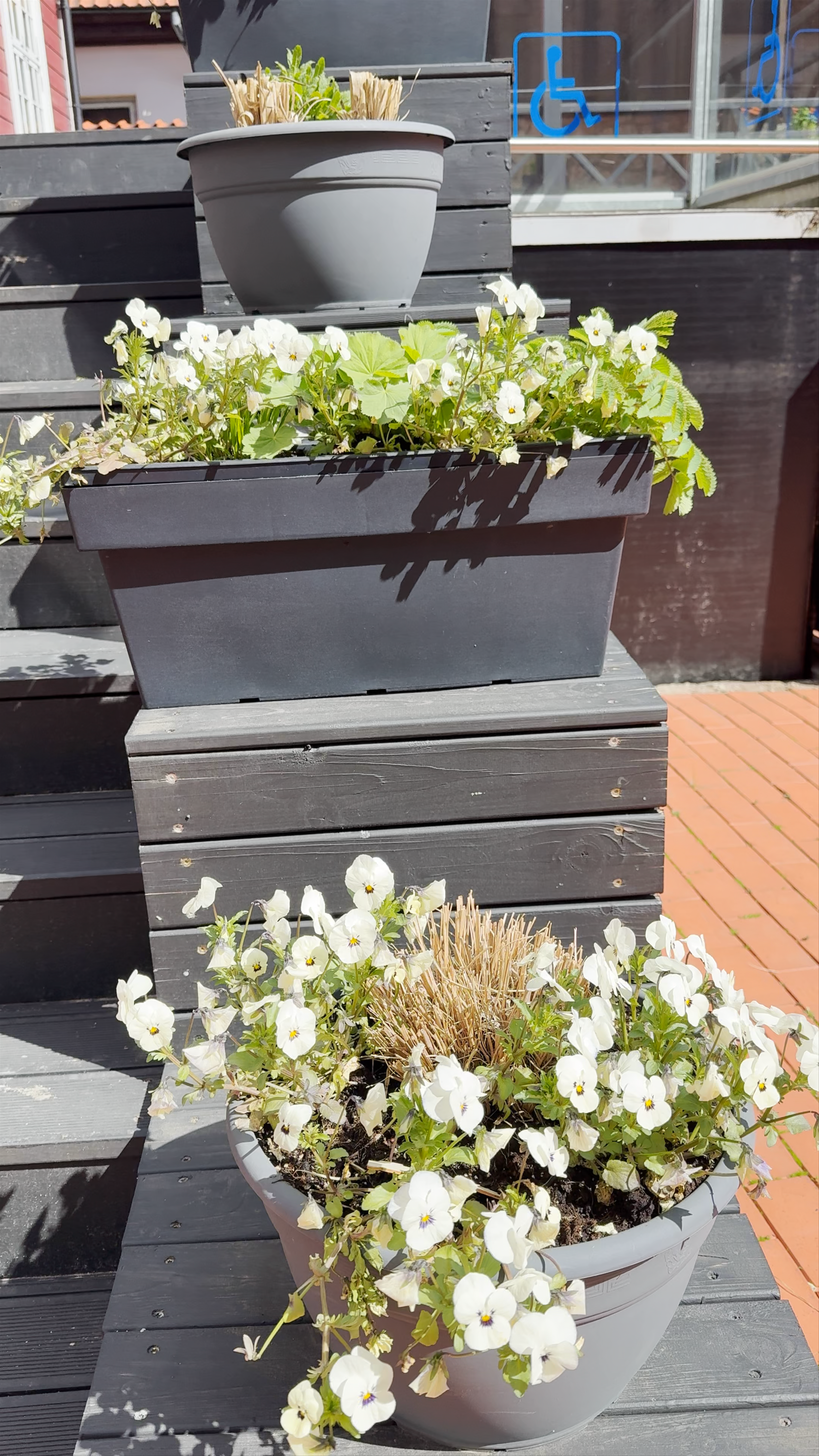 H.E. Vanadziņš. Ziemeļu restorāns