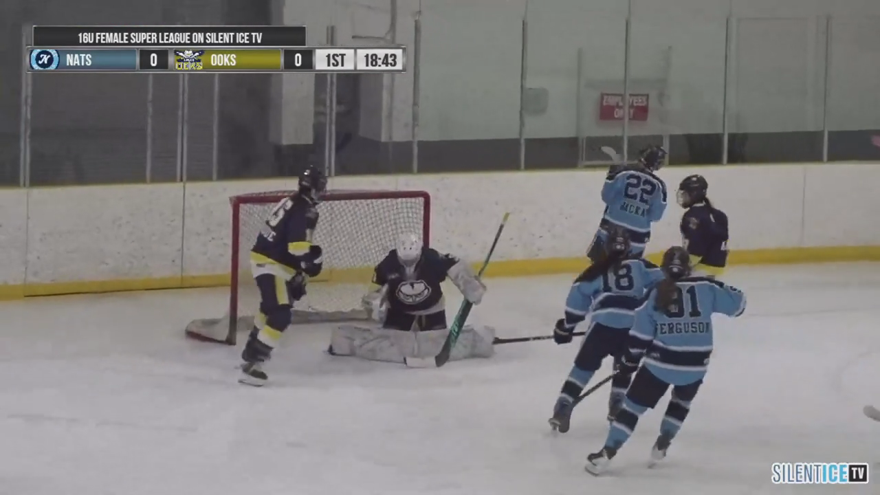 Kiana Yao's (#19) Assist to Reese McKay with Bow Valley Nationals 16U AAA against Jr. Ooks
24 Jan 2026